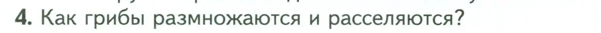 Условие номер 4 (страница 146) гдз по биологии 7 класс Пасечник, Суматохин, учебник