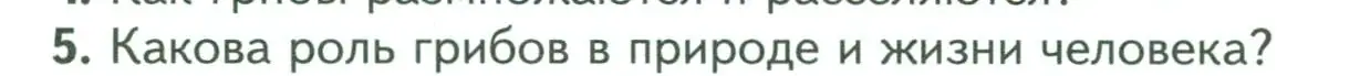 Условие номер 5 (страница 146) гдз по биологии 7 класс Пасечник, Суматохин, учебник