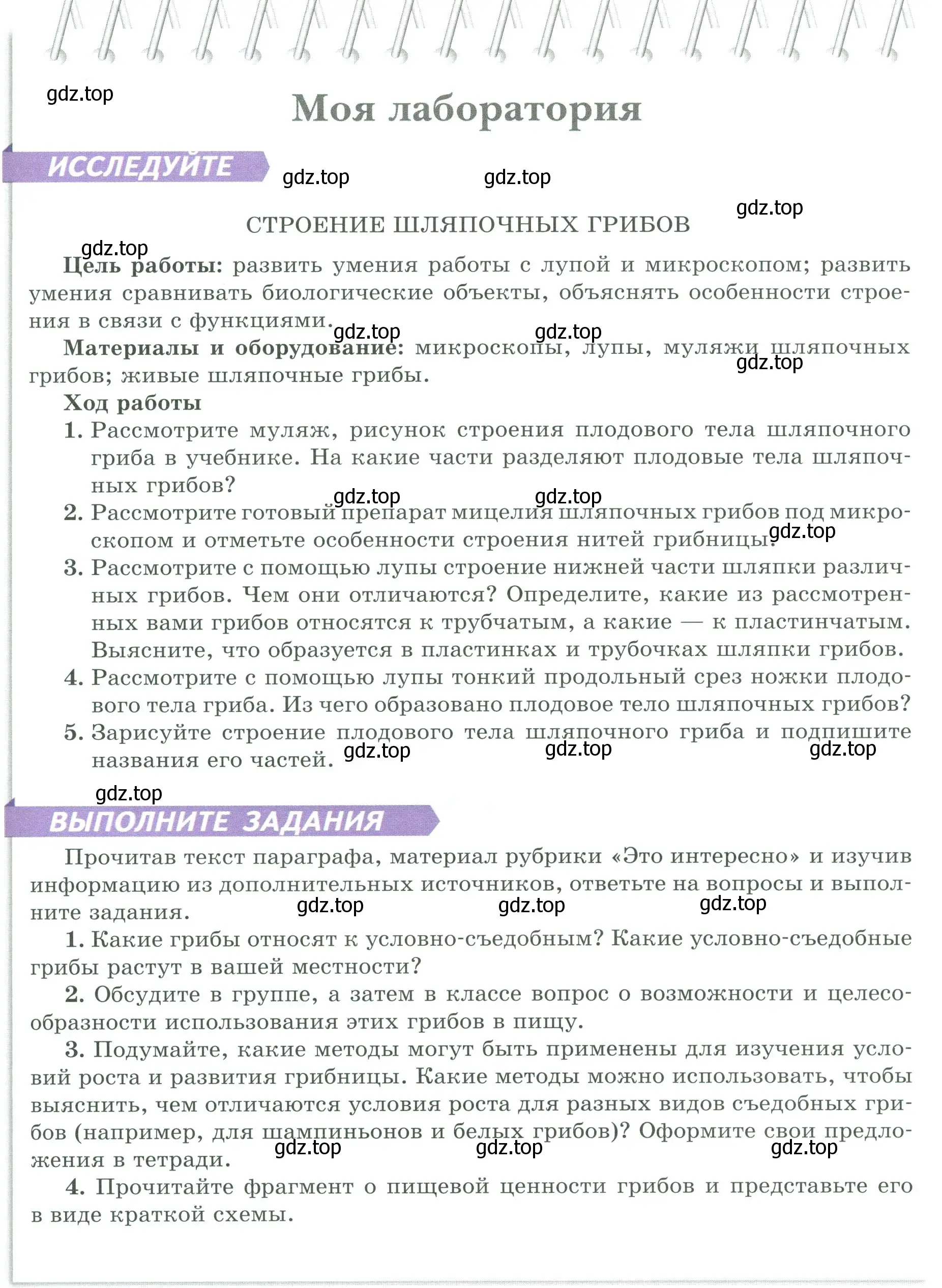 Условие  Моя лаборатория (страница 155) гдз по биологии 7 класс Пасечник, Суматохин, учебник