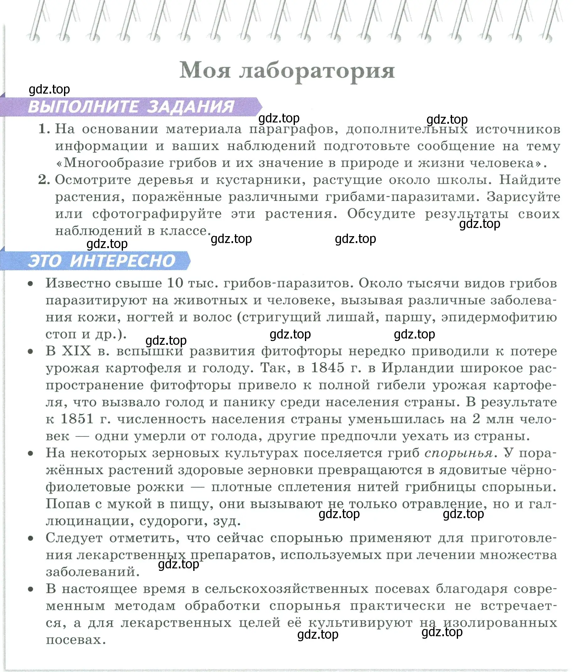 Условие  Моя лаборатория (страница 165) гдз по биологии 7 класс Пасечник, Суматохин, учебник