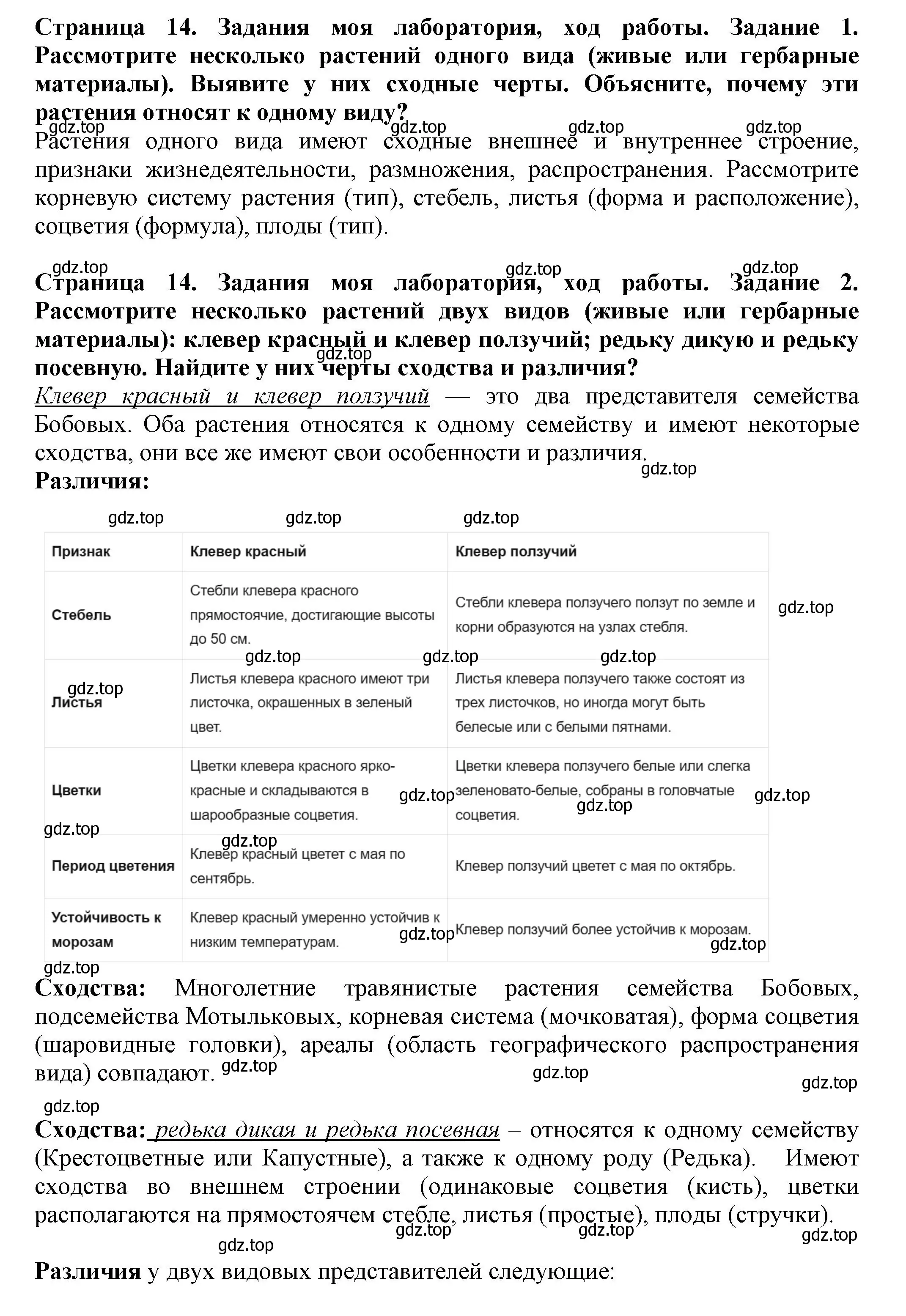 Решение  Моя лаборатория (страница 14) гдз по биологии 7 класс Пасечник, Суматохин, учебник