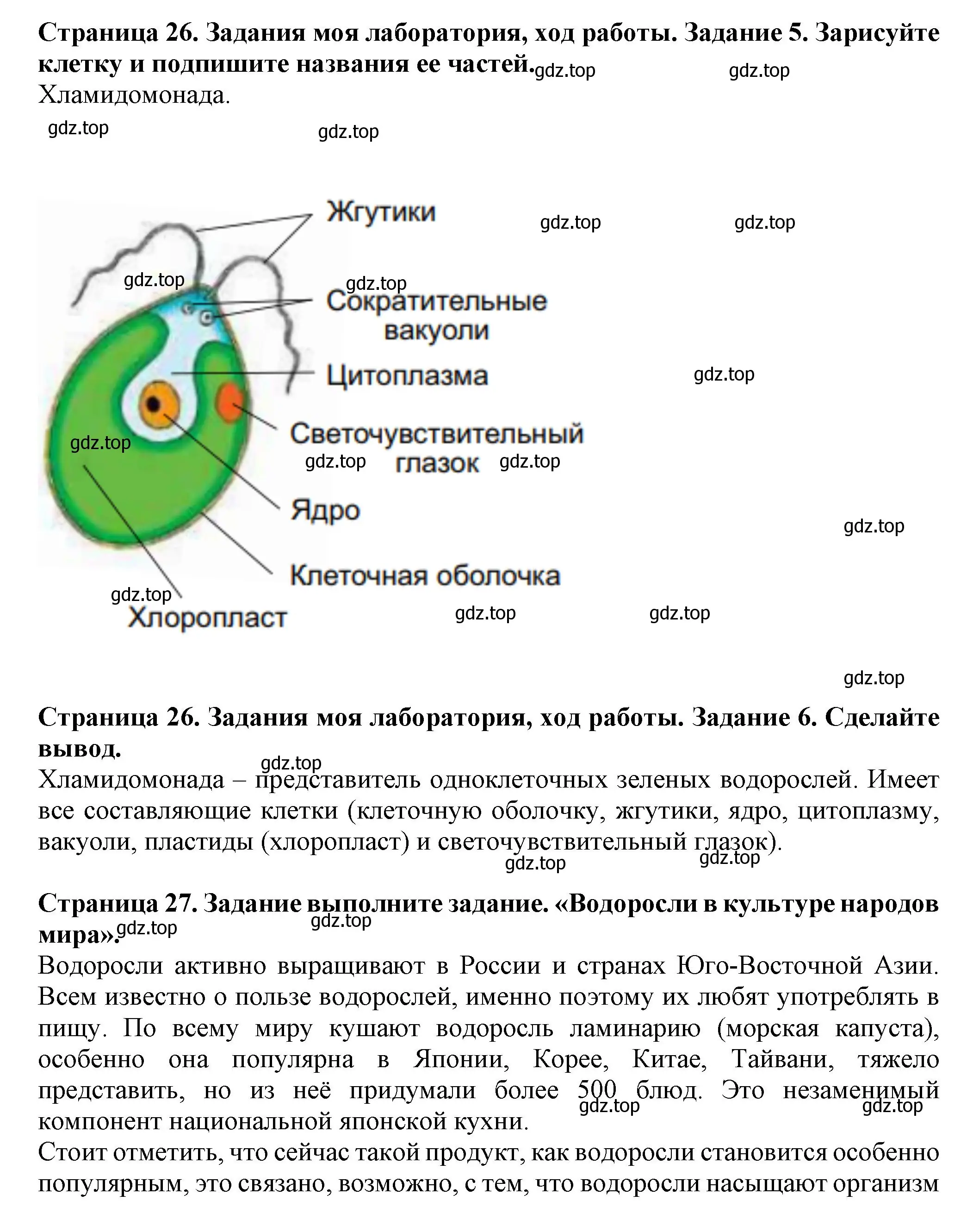 Решение  Моя лаборатория (страница 26) гдз по биологии 7 класс Пасечник, Суматохин, учебник