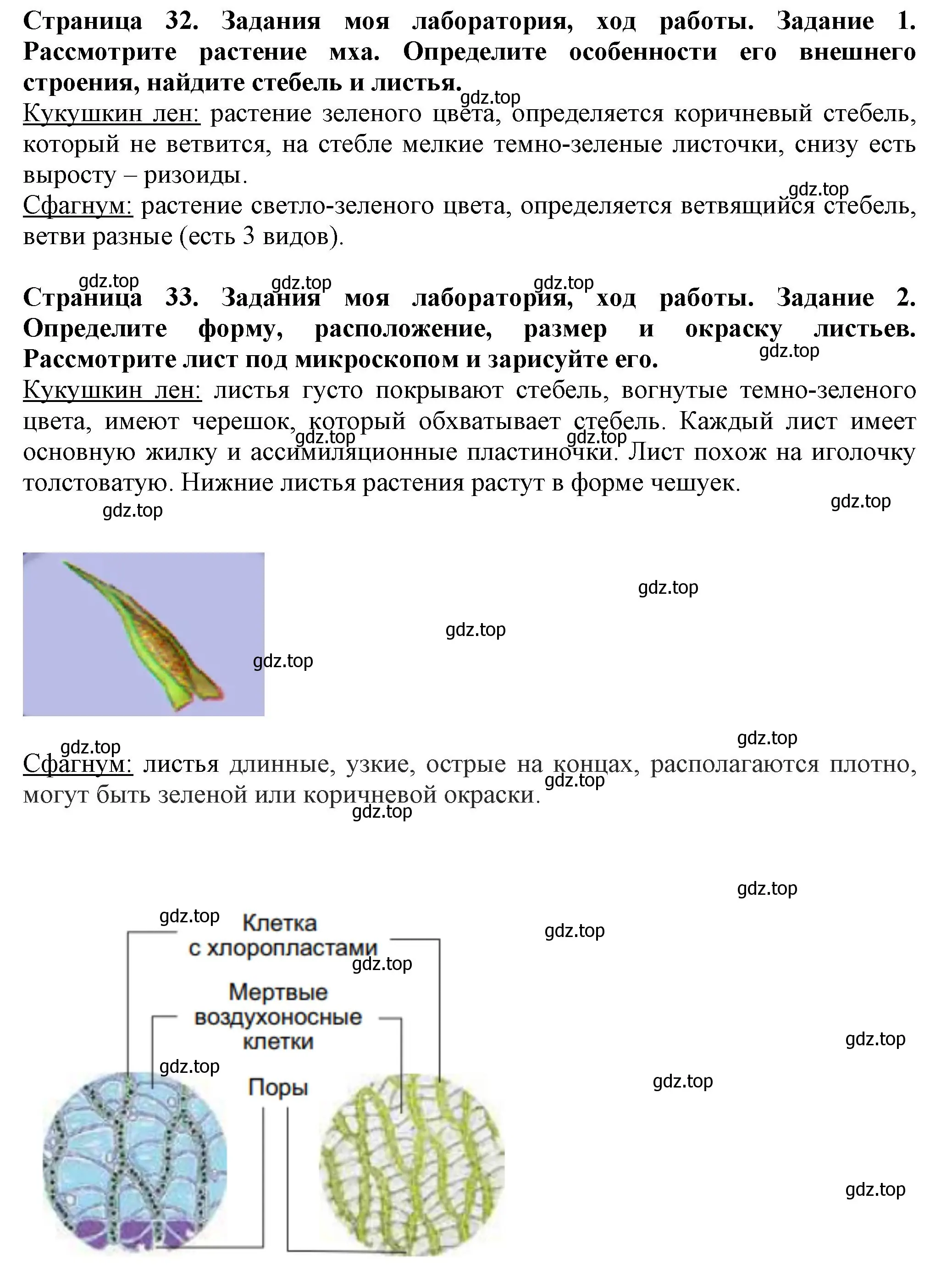 Решение  Моя лаборатория (страница 32) гдз по биологии 7 класс Пасечник, Суматохин, учебник