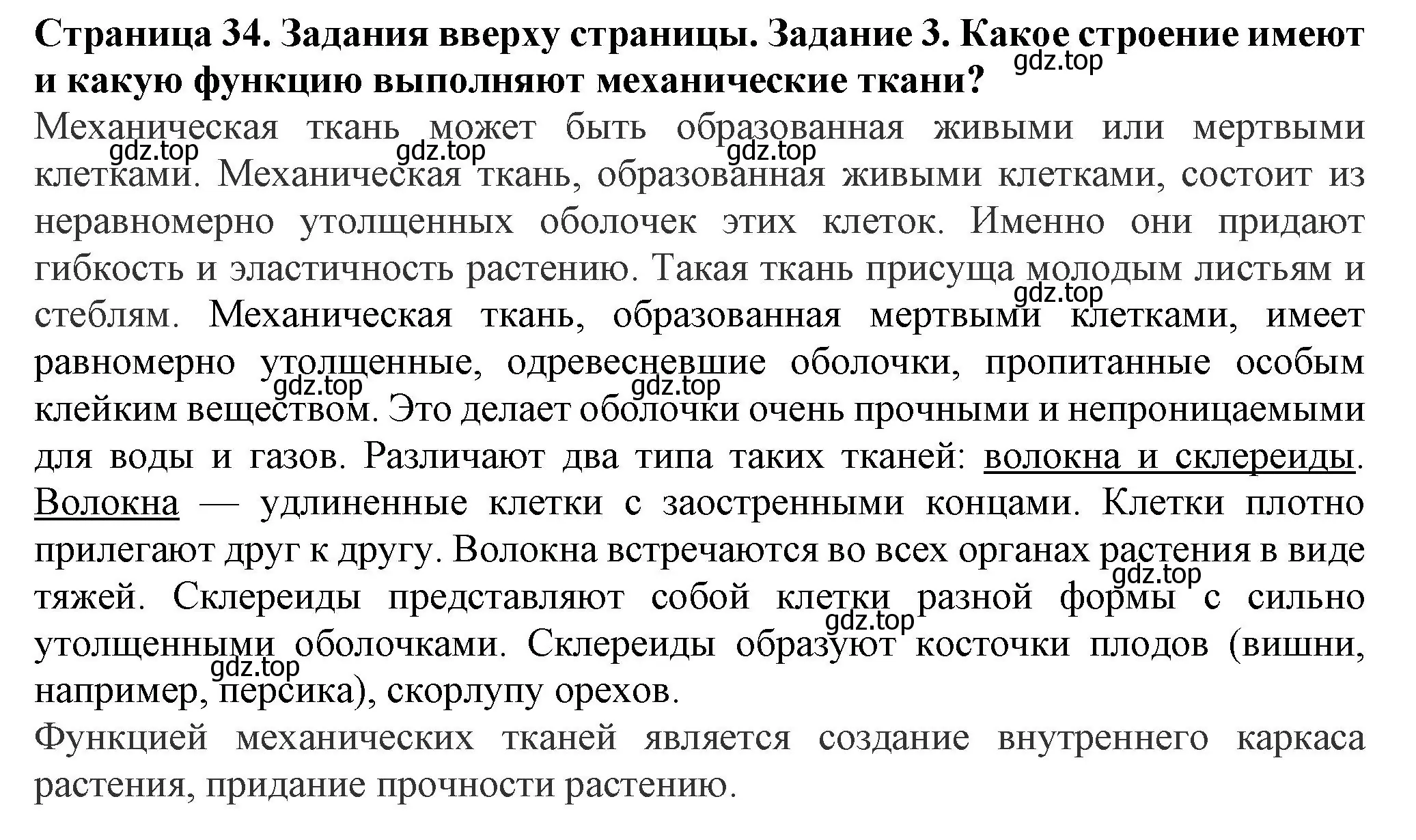 Решение номер 3 (страница 34) гдз по биологии 7 класс Пасечник, Суматохин, учебник