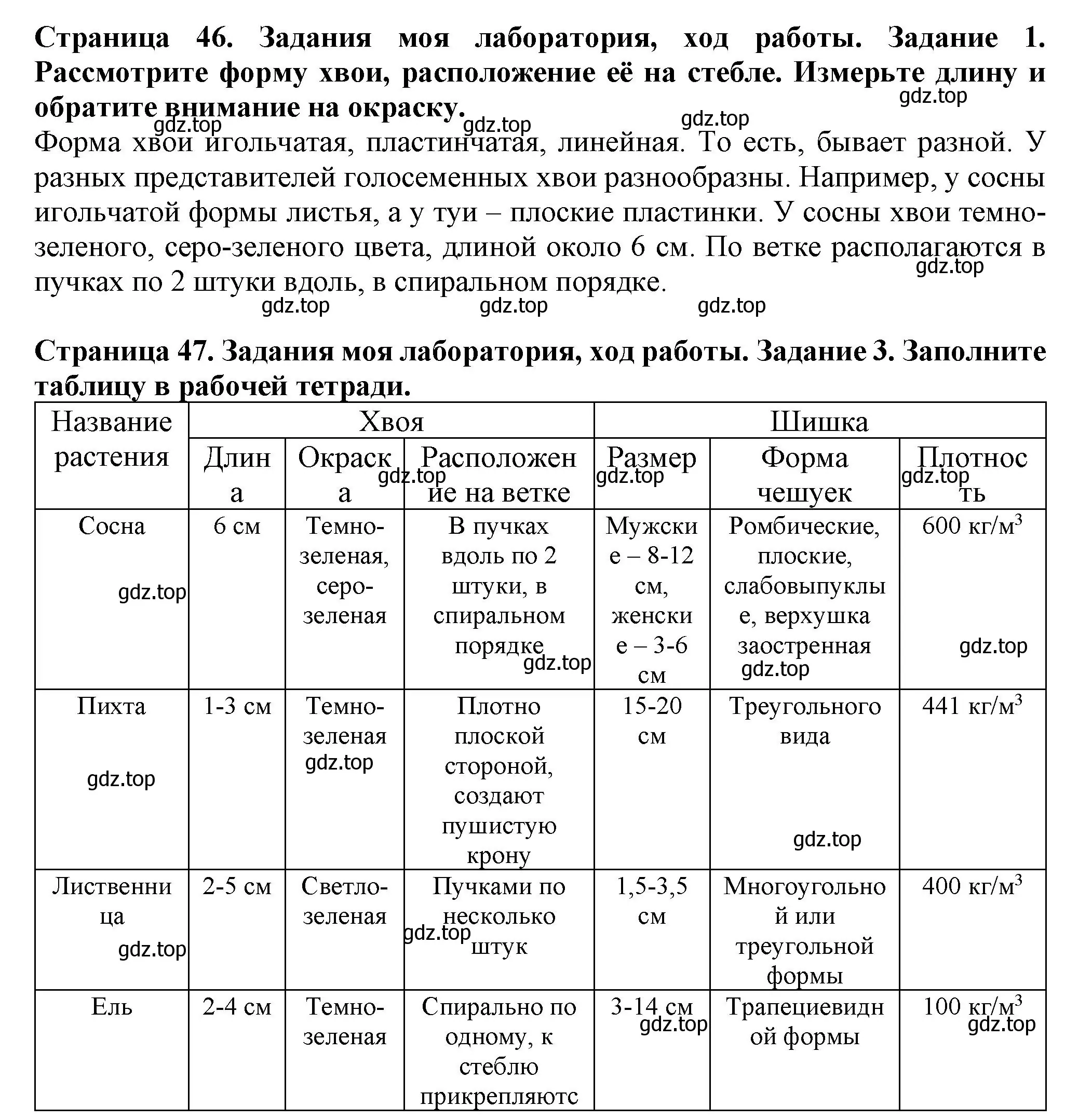 Решение  Моя лаборатория (страница 46) гдз по биологии 7 класс Пасечник, Суматохин, учебник