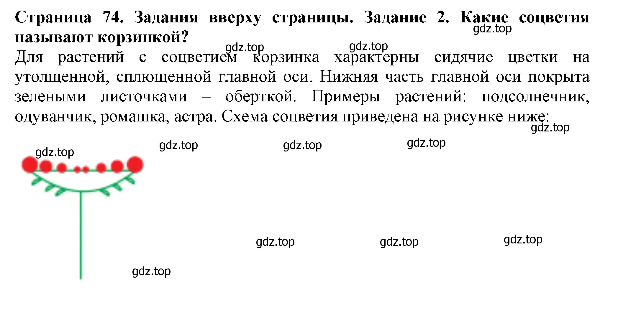 Решение номер 2 (страница 74) гдз по биологии 7 класс Пасечник, Суматохин, учебник