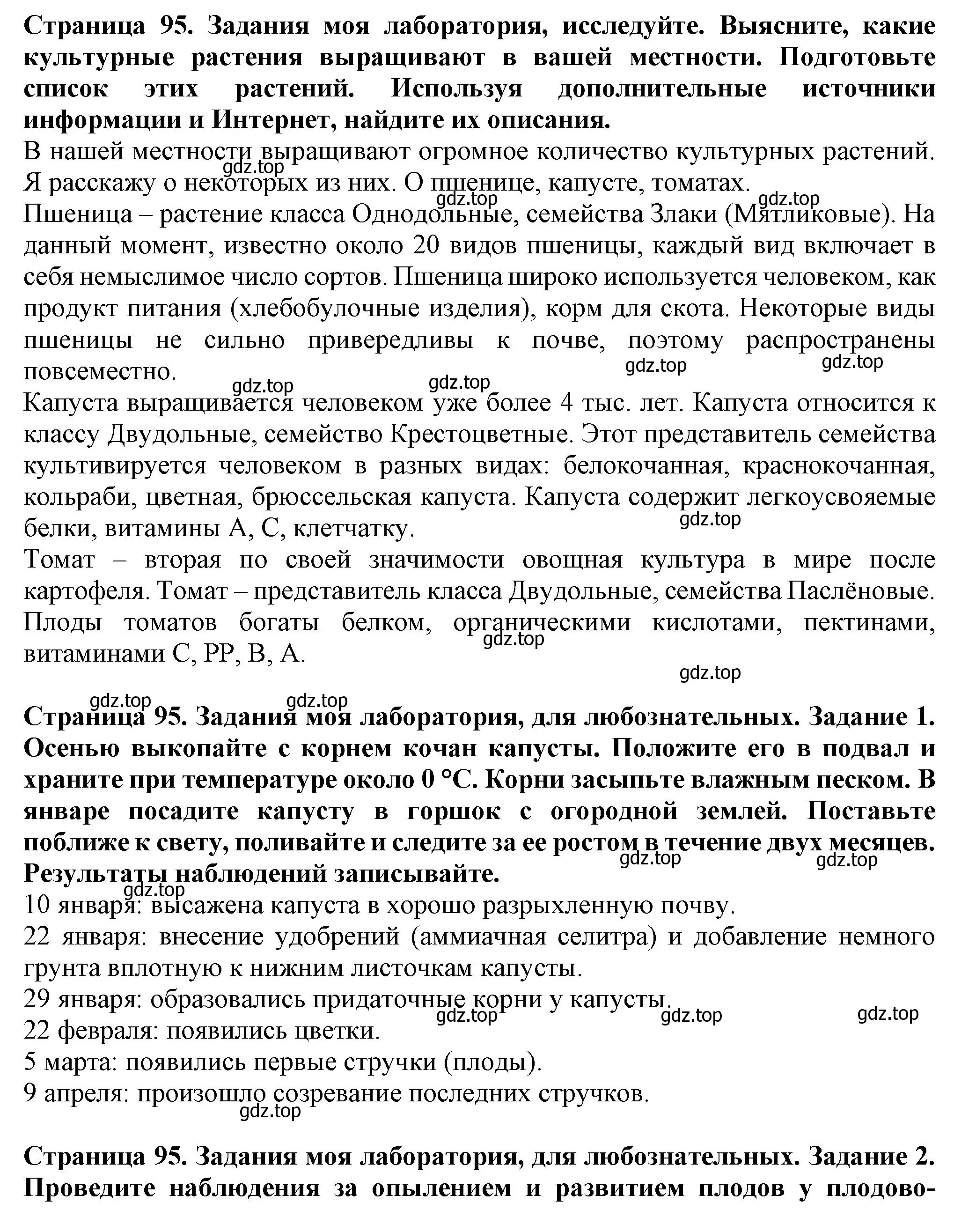 Решение  Моя лаборатория (страница 95) гдз по биологии 7 класс Пасечник, Суматохин, учебник