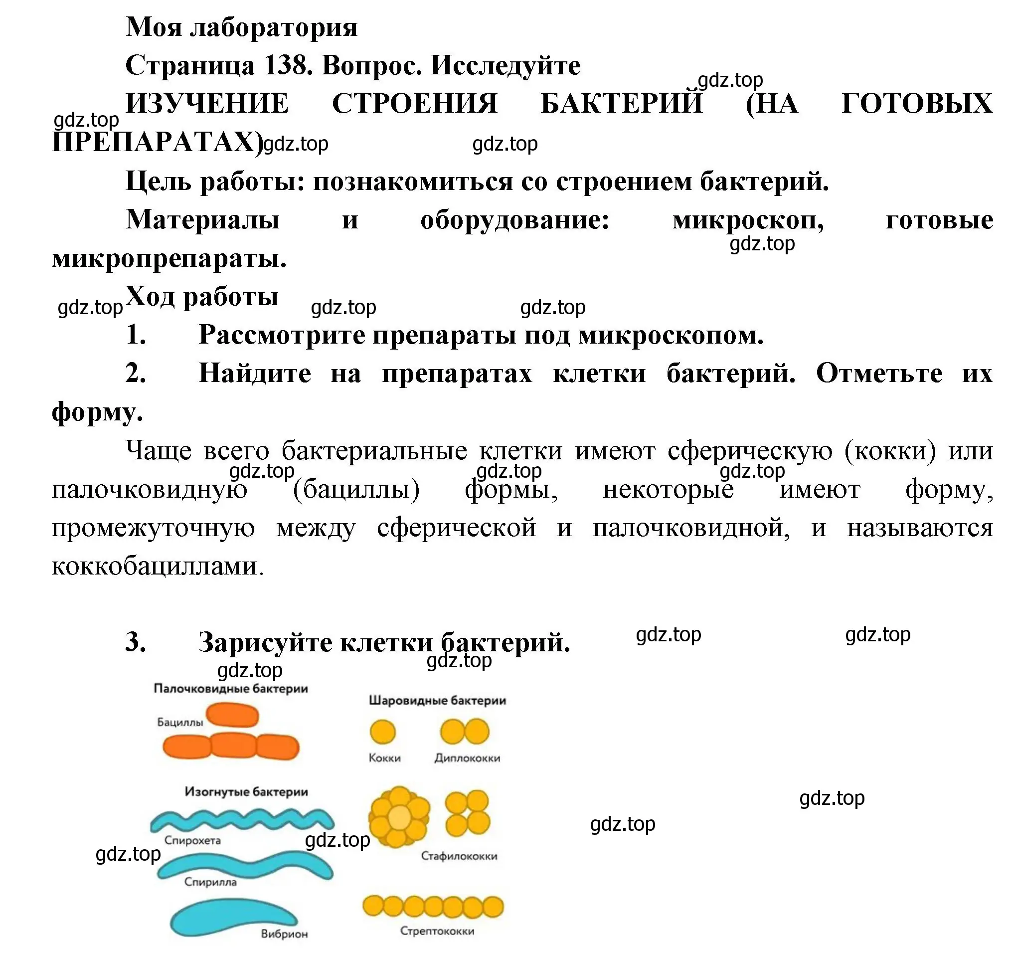 Решение  Моя лаборатория (страница 138) гдз по биологии 7 класс Пасечник, Суматохин, учебник