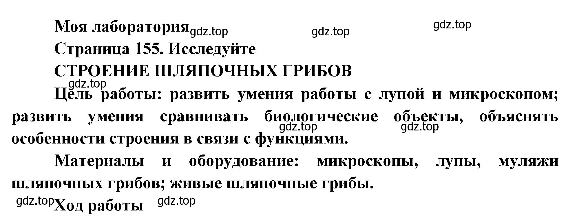 Решение  Моя лаборатория (страница 155) гдз по биологии 7 класс Пасечник, Суматохин, учебник