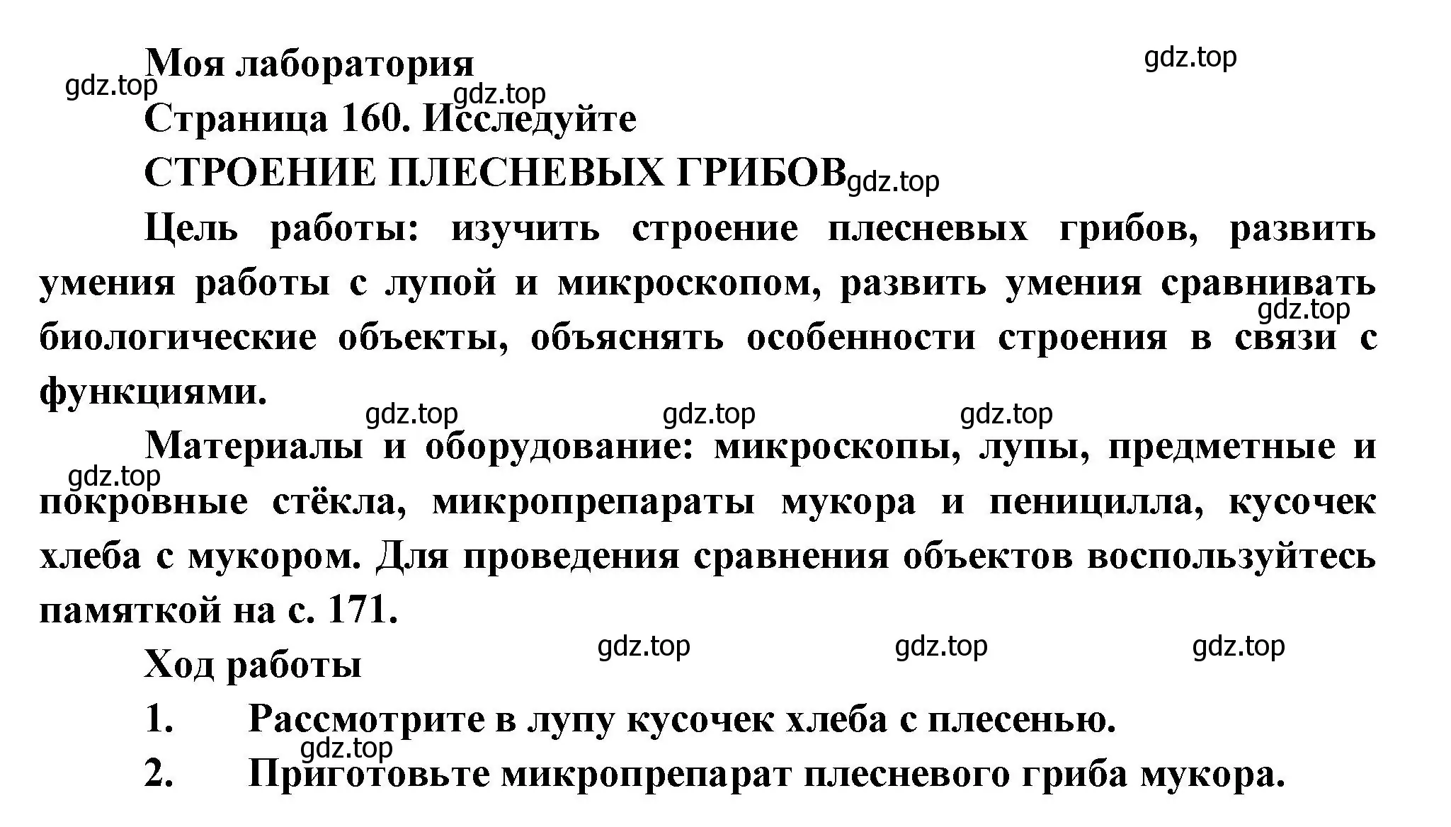 Решение  Моя лаборатория (страница 160) гдз по биологии 7 класс Пасечник, Суматохин, учебник