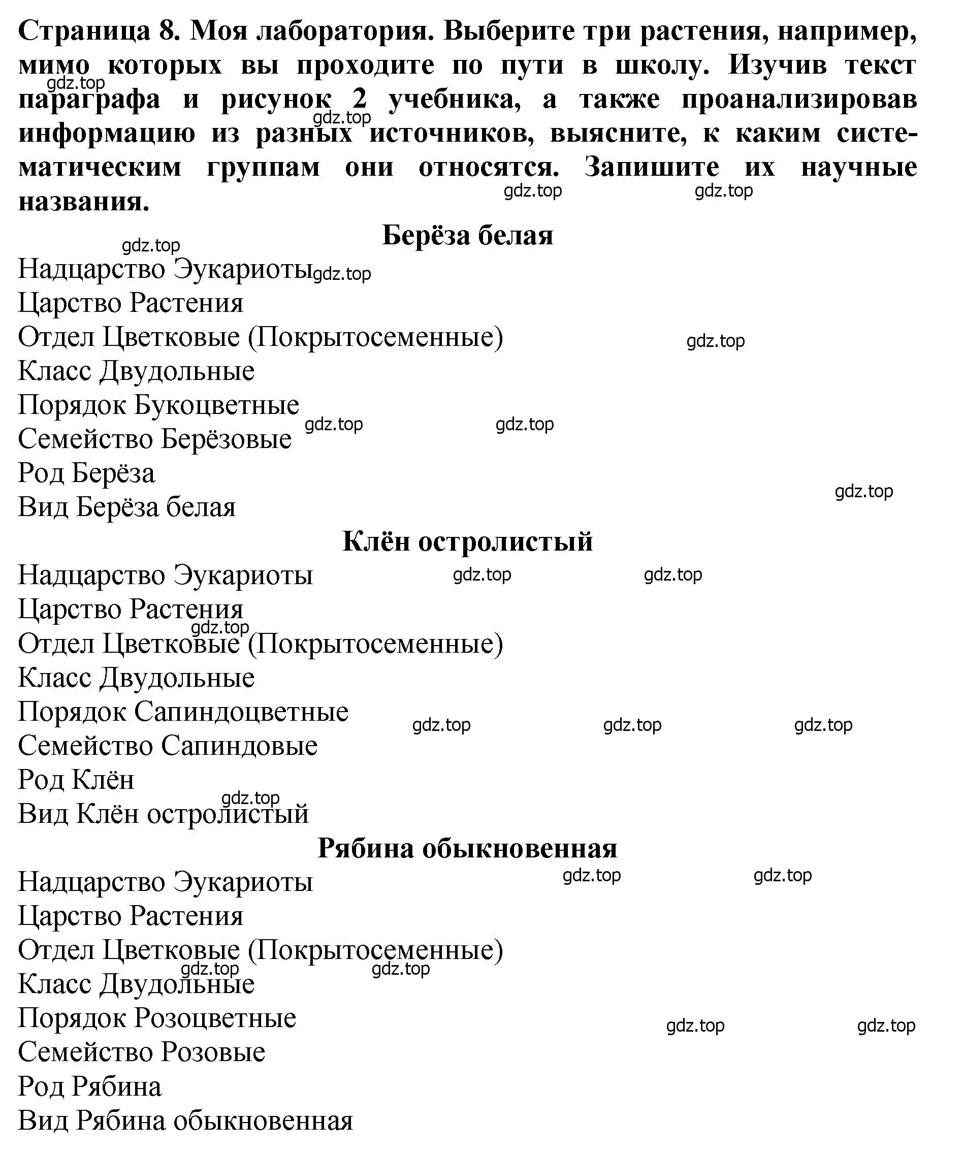 Решение 2.  Моя лаборатория (страница 8) гдз по биологии 7 класс Пасечник, Суматохин, учебник