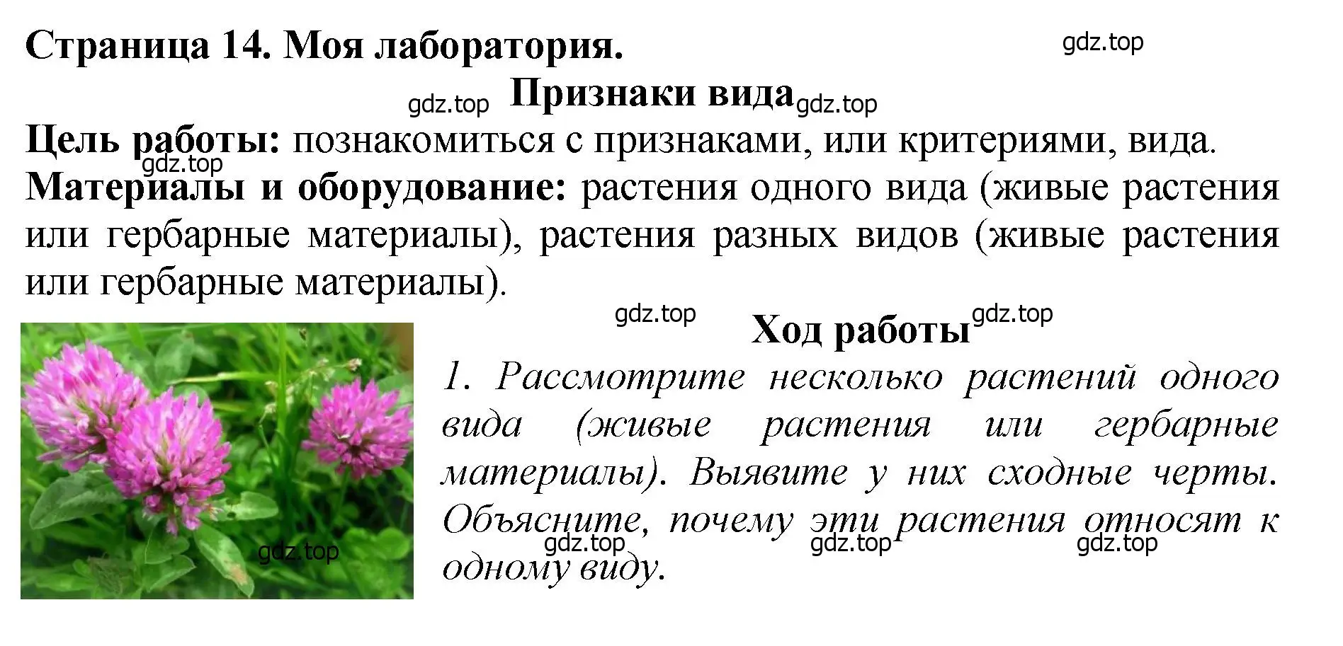 Решение 2.  Моя лаборатория (страница 14) гдз по биологии 7 класс Пасечник, Суматохин, учебник