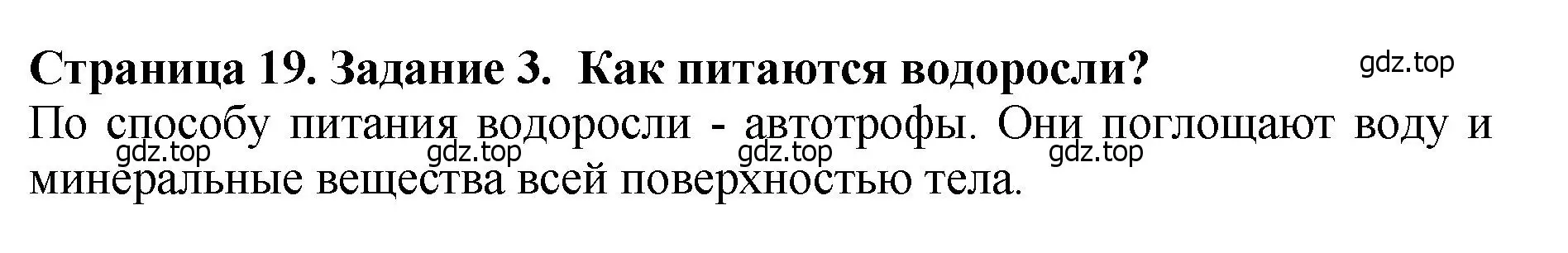 Решение 2. номер 3 (страница 19) гдз по биологии 7 класс Пасечник, Суматохин, учебник