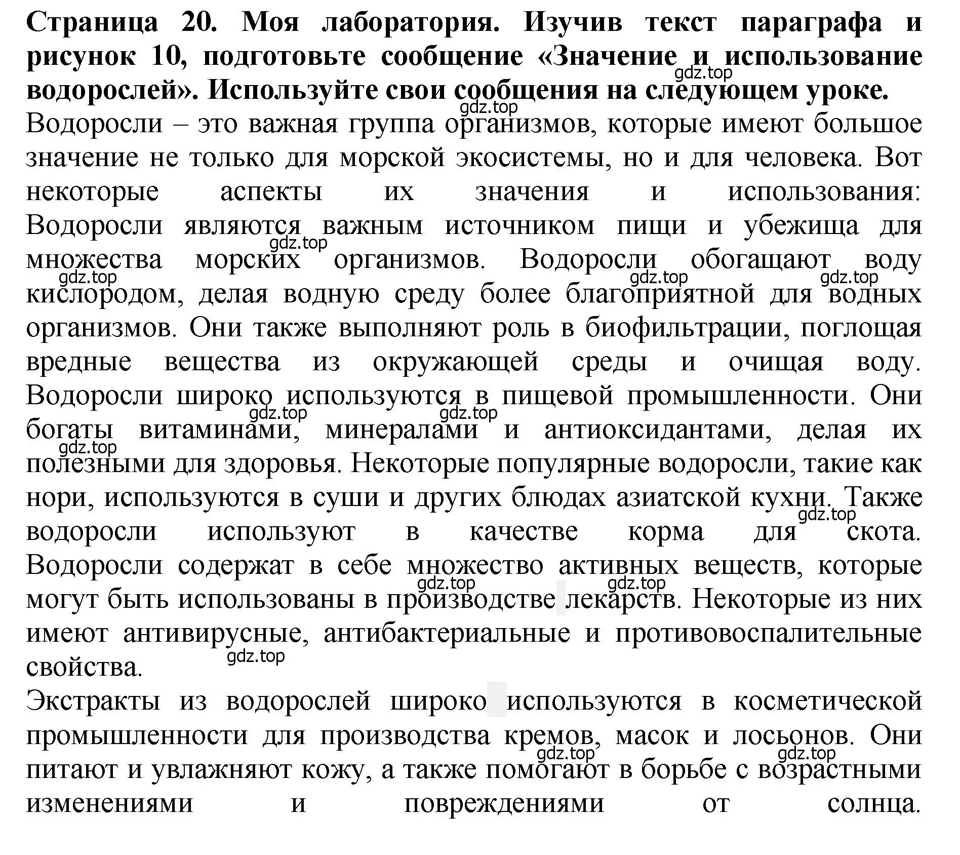 Решение 2.  Моя лаборатория (страница 20) гдз по биологии 7 класс Пасечник, Суматохин, учебник