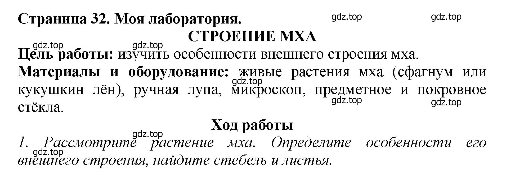 Решение 2.  Моя лаборатория (страница 32) гдз по биологии 7 класс Пасечник, Суматохин, учебник