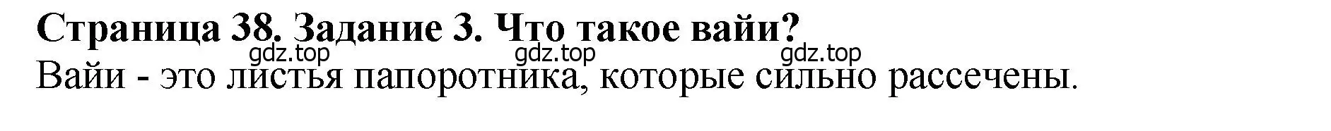 Решение 2. номер 3 (страница 38) гдз по биологии 7 класс Пасечник, Суматохин, учебник