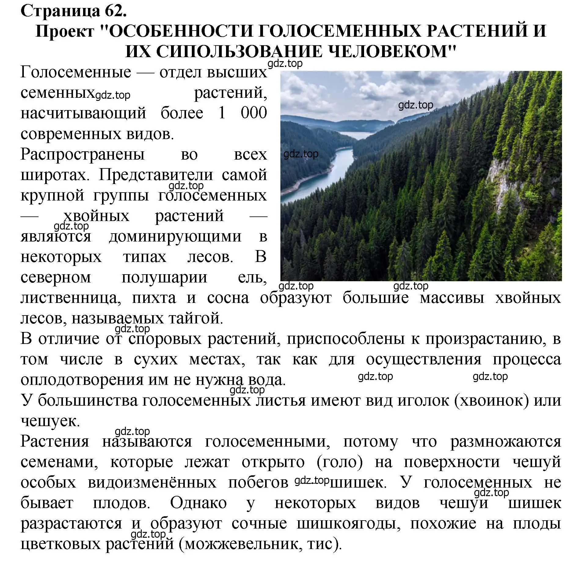 Решение 2. номер 3 (страница 62) гдз по биологии 7 класс Пасечник, Суматохин, учебник