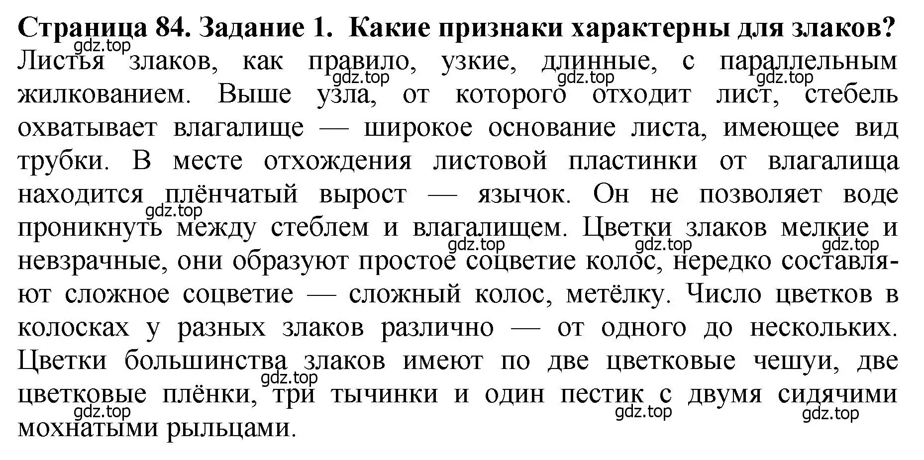 Решение 2. номер 1 (страница 84) гдз по биологии 7 класс Пасечник, Суматохин, учебник