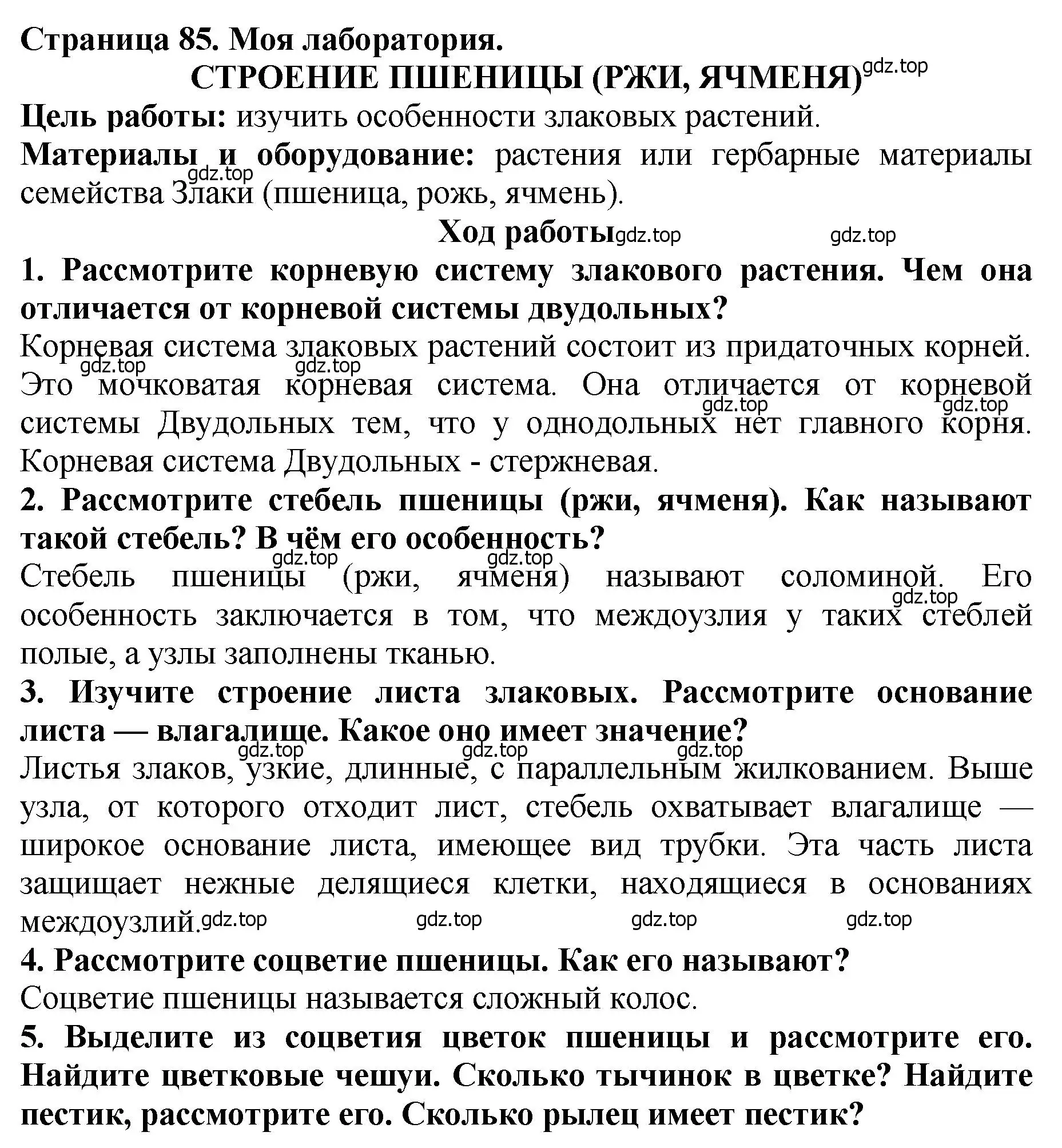 Решение 2.  Моя лаборатория (страница 85) гдз по биологии 7 класс Пасечник, Суматохин, учебник