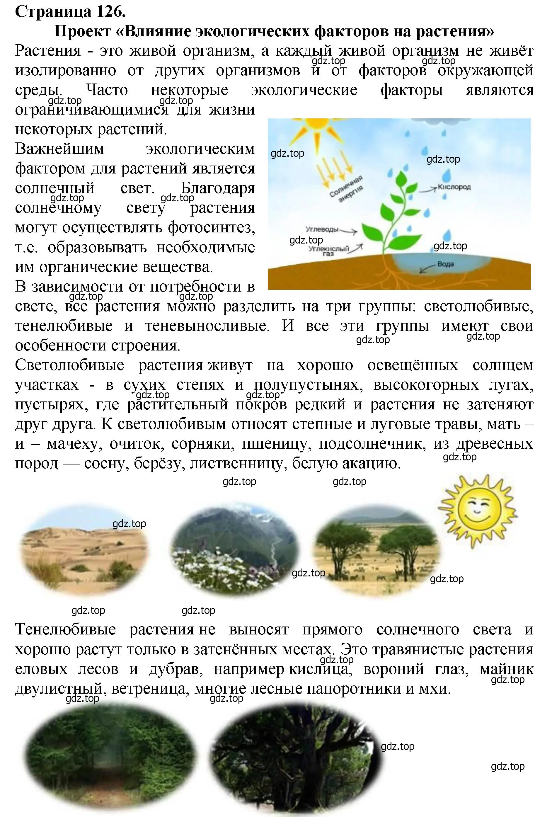 Решение 2. номер 1 (страница 126) гдз по биологии 7 класс Пасечник, Суматохин, учебник