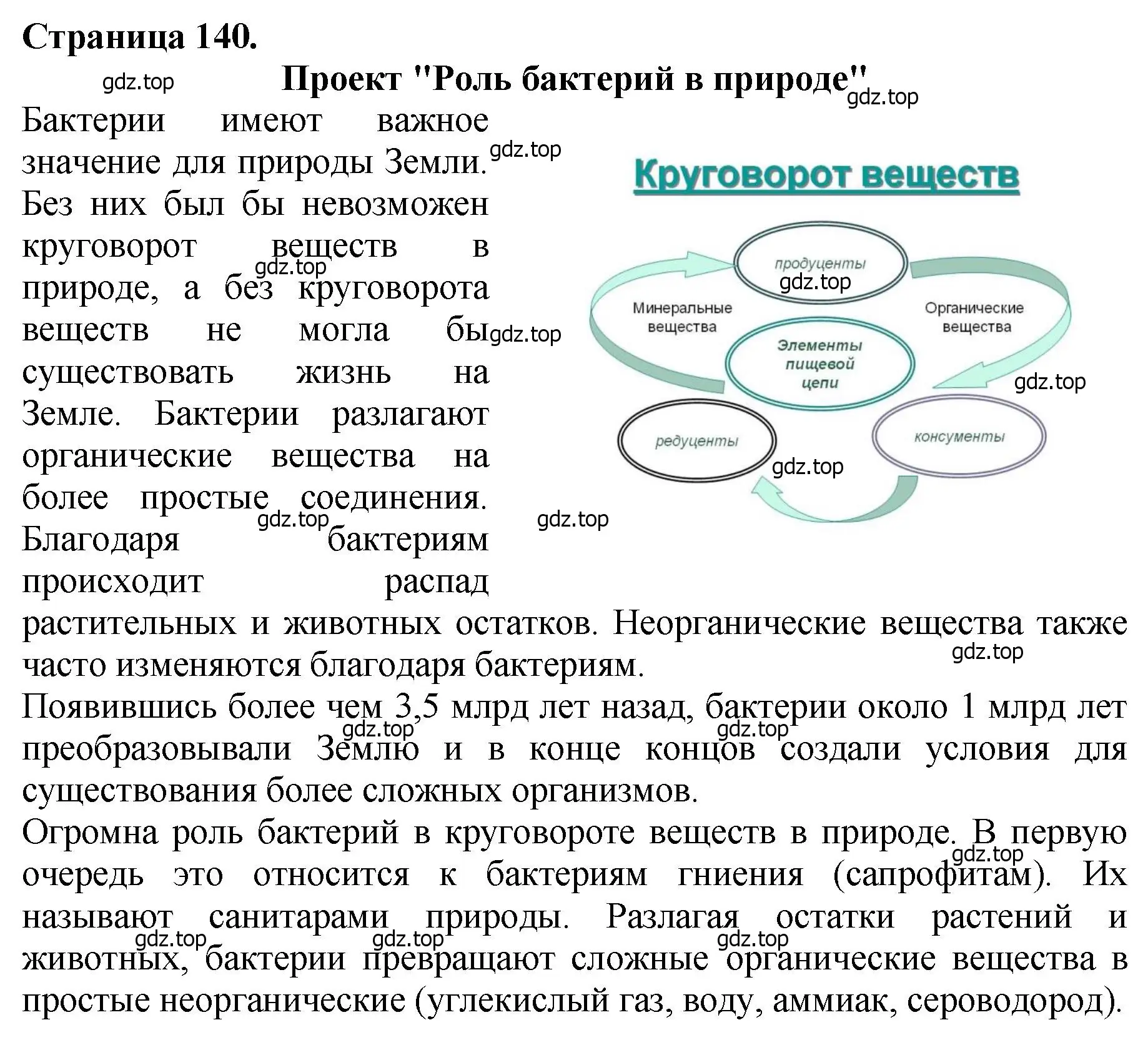 Решение 2. номер 2 (страница 140) гдз по биологии 7 класс Пасечник, Суматохин, учебник