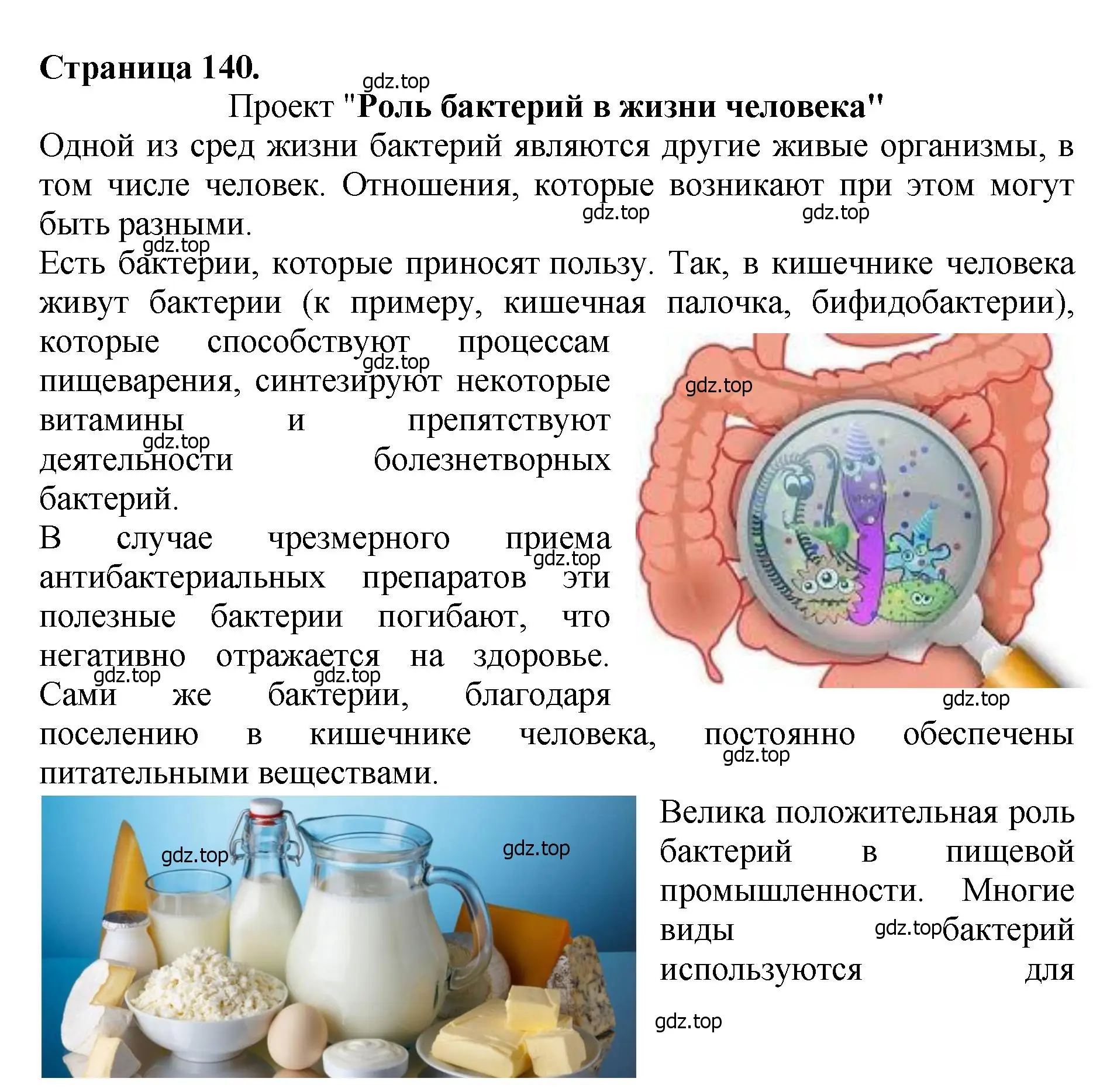 Решение 2. номер 3 (страница 140) гдз по биологии 7 класс Пасечник, Суматохин, учебник