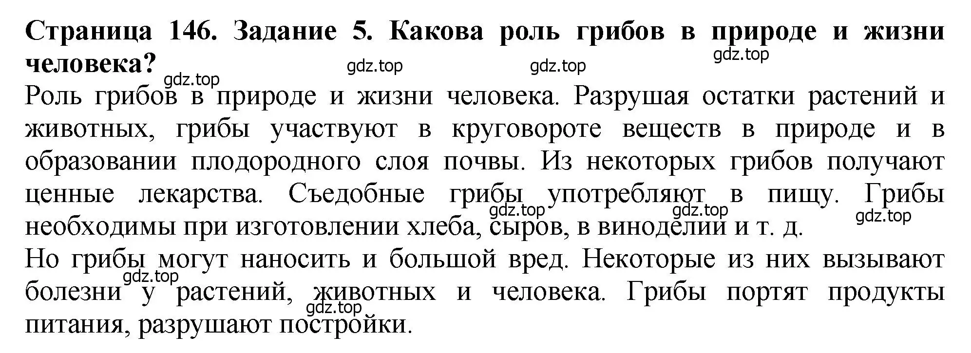 Решение 2. номер 5 (страница 146) гдз по биологии 7 класс Пасечник, Суматохин, учебник