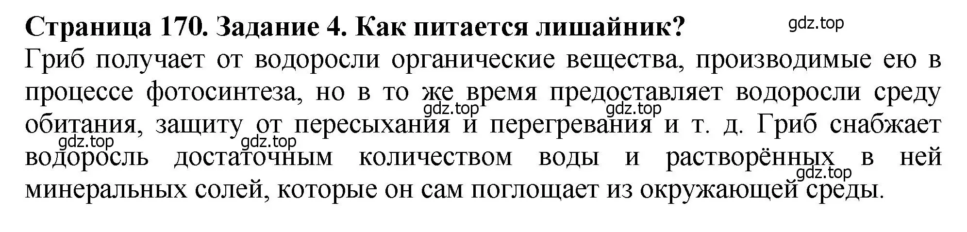 Решение 2. номер 4 (страница 170) гдз по биологии 7 класс Пасечник, Суматохин, учебник