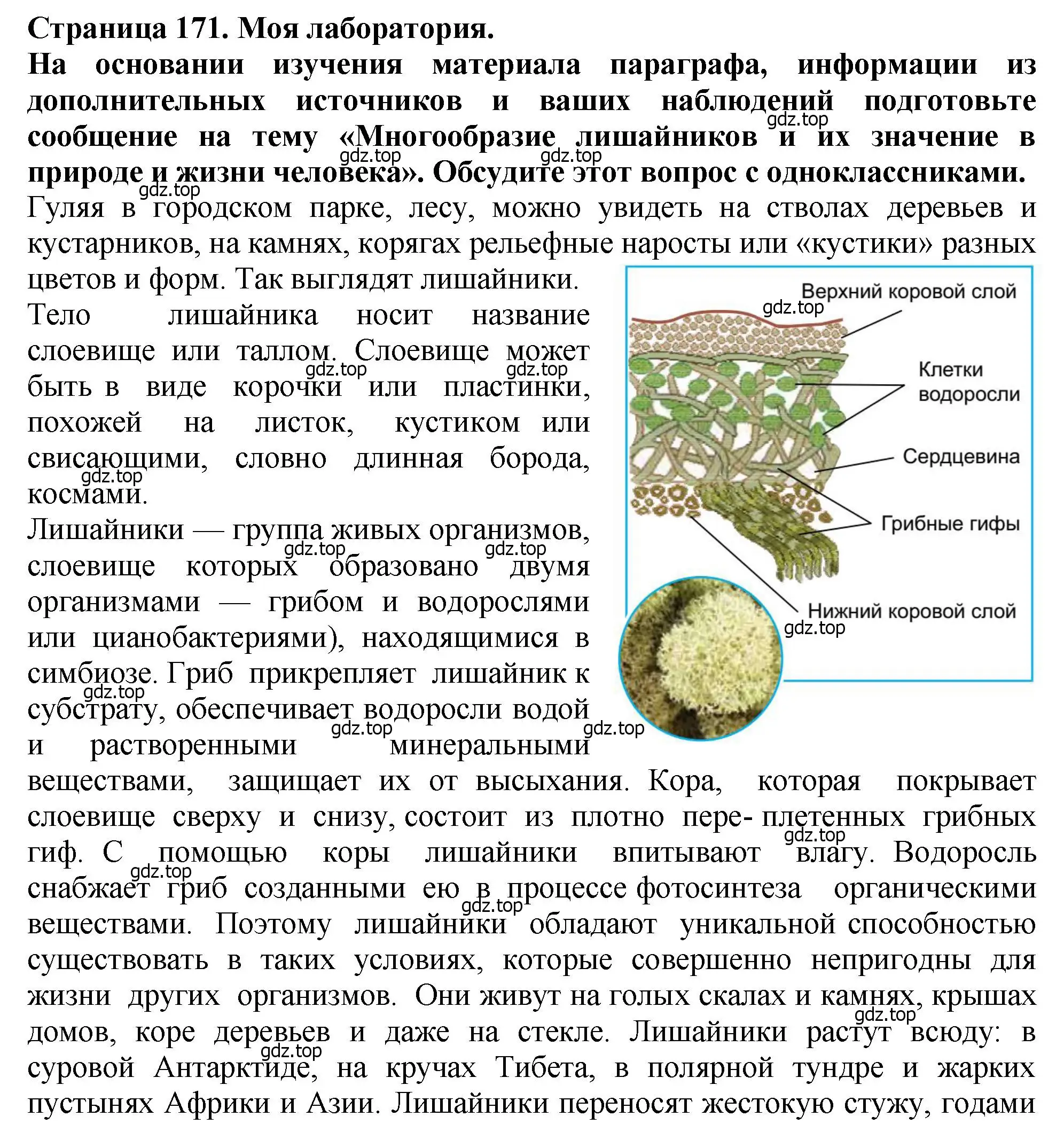 Решение 2.  Моя лаборатория (страница 171) гдз по биологии 7 класс Пасечник, Суматохин, учебник