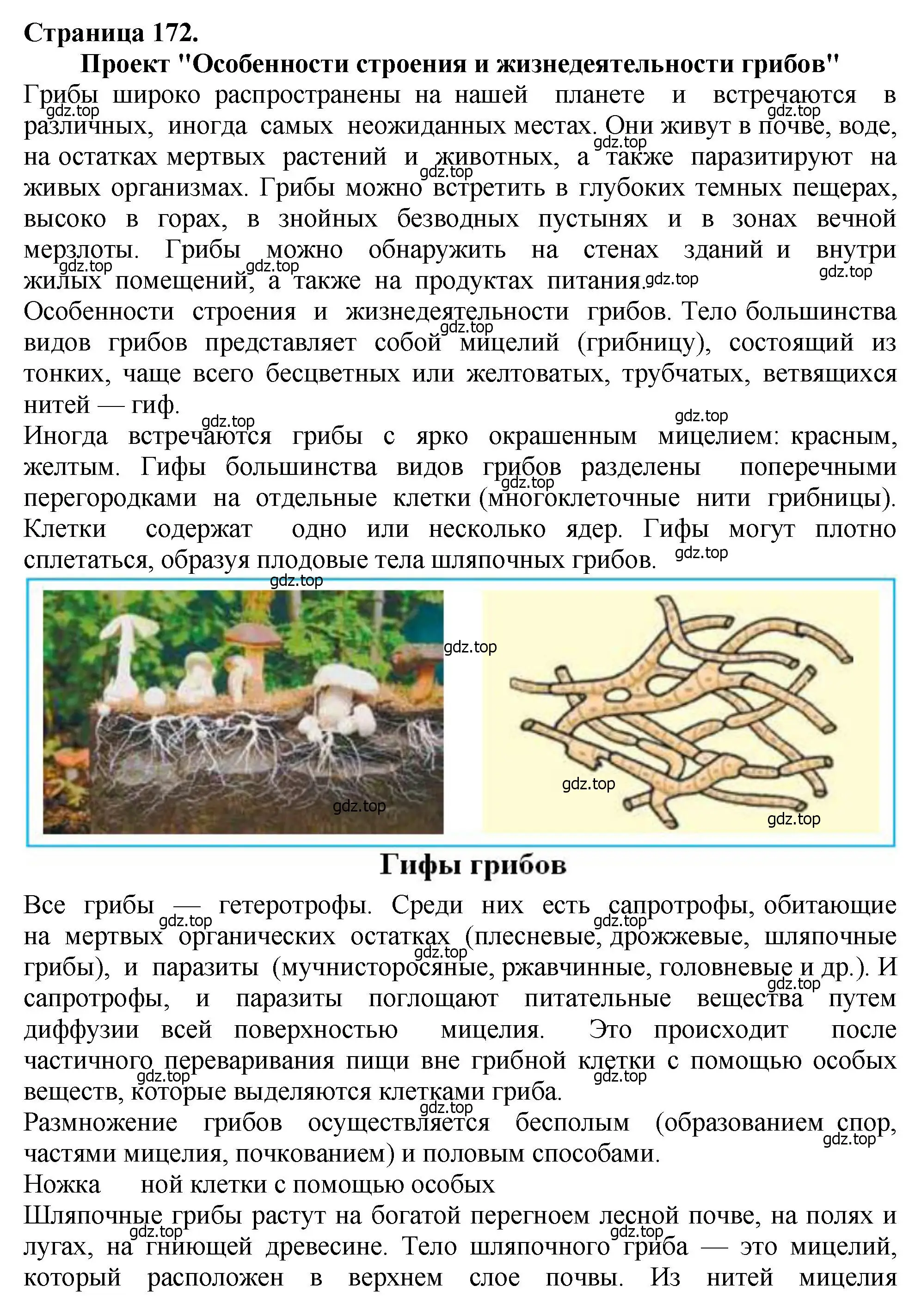 Решение 2. номер 1 (страница 172) гдз по биологии 7 класс Пасечник, Суматохин, учебник