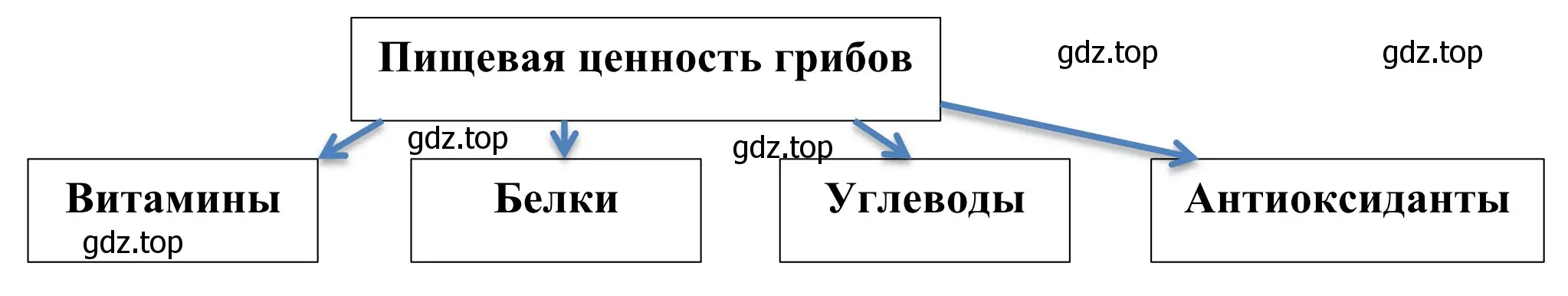 Схема. Пищевая ценность грибов