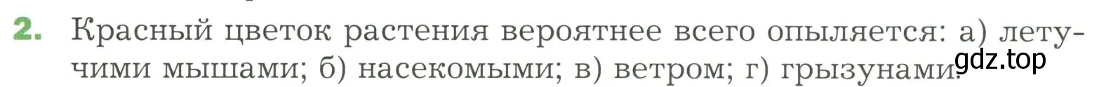 Условие номер 2 (страница 96) гдз по биологии 7 класс Пономарева, Корнилова, учебник