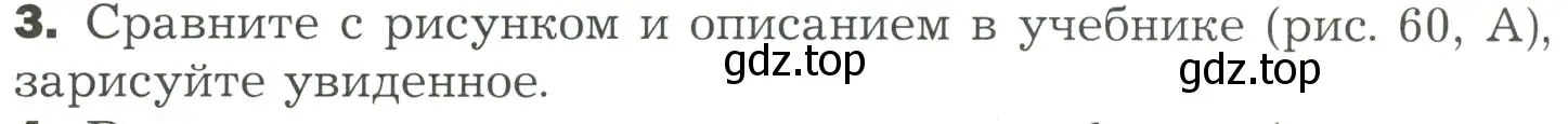 Условие номер 3 (страница 148) гдз по биологии 7 класс Пономарева, Корнилова, учебник