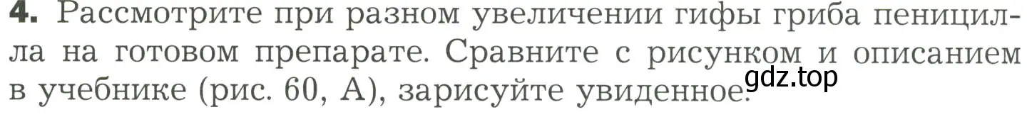 Условие номер 4 (страница 148) гдз по биологии 7 класс Пономарева, Корнилова, учебник