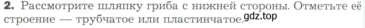 Условие номер 2 (страница 152) гдз по биологии 7 класс Пономарева, Корнилова, учебник