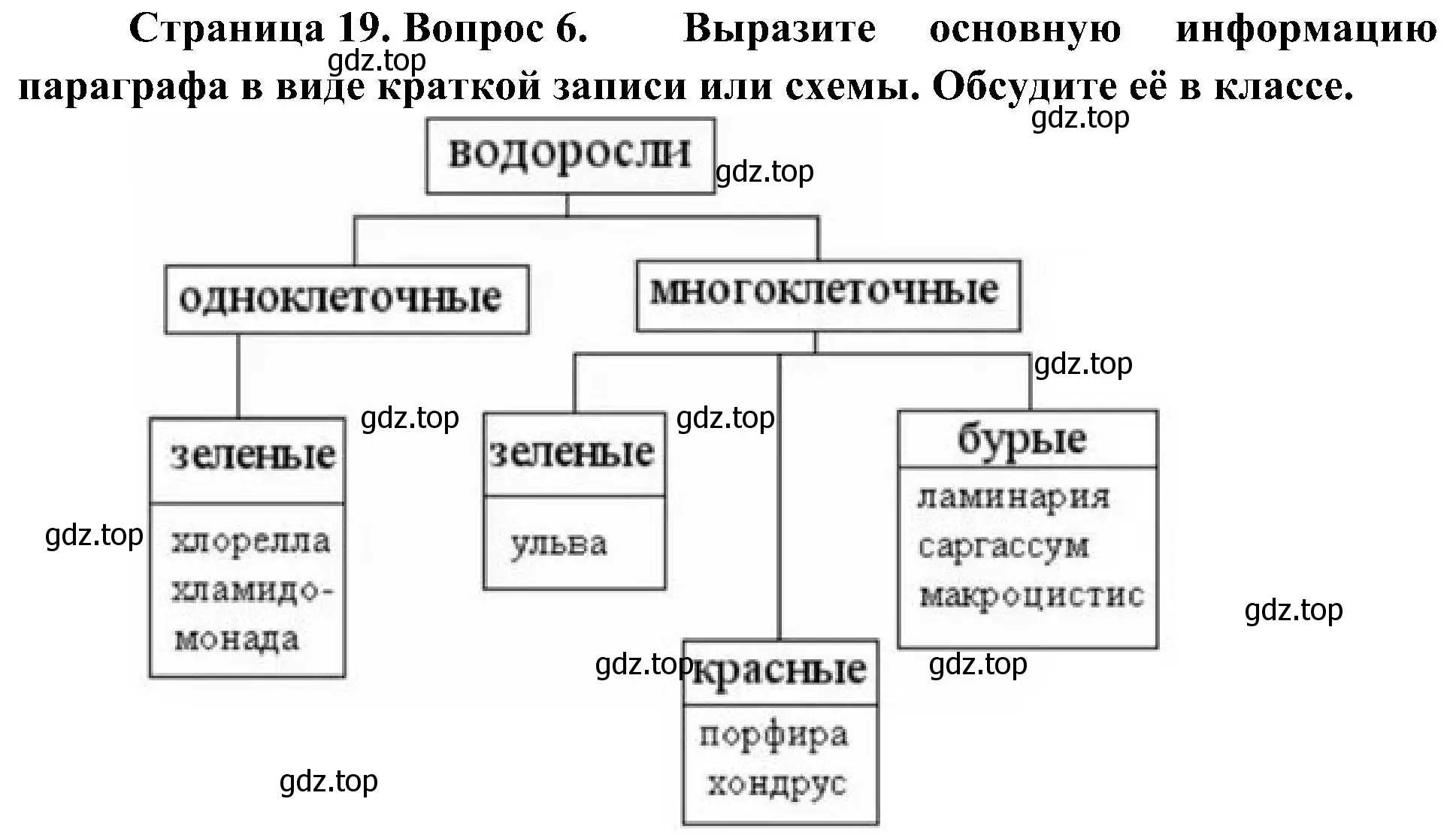 Решение номер 6 (страница 19) гдз по биологии 7 класс Пономарева, Корнилова, учебник