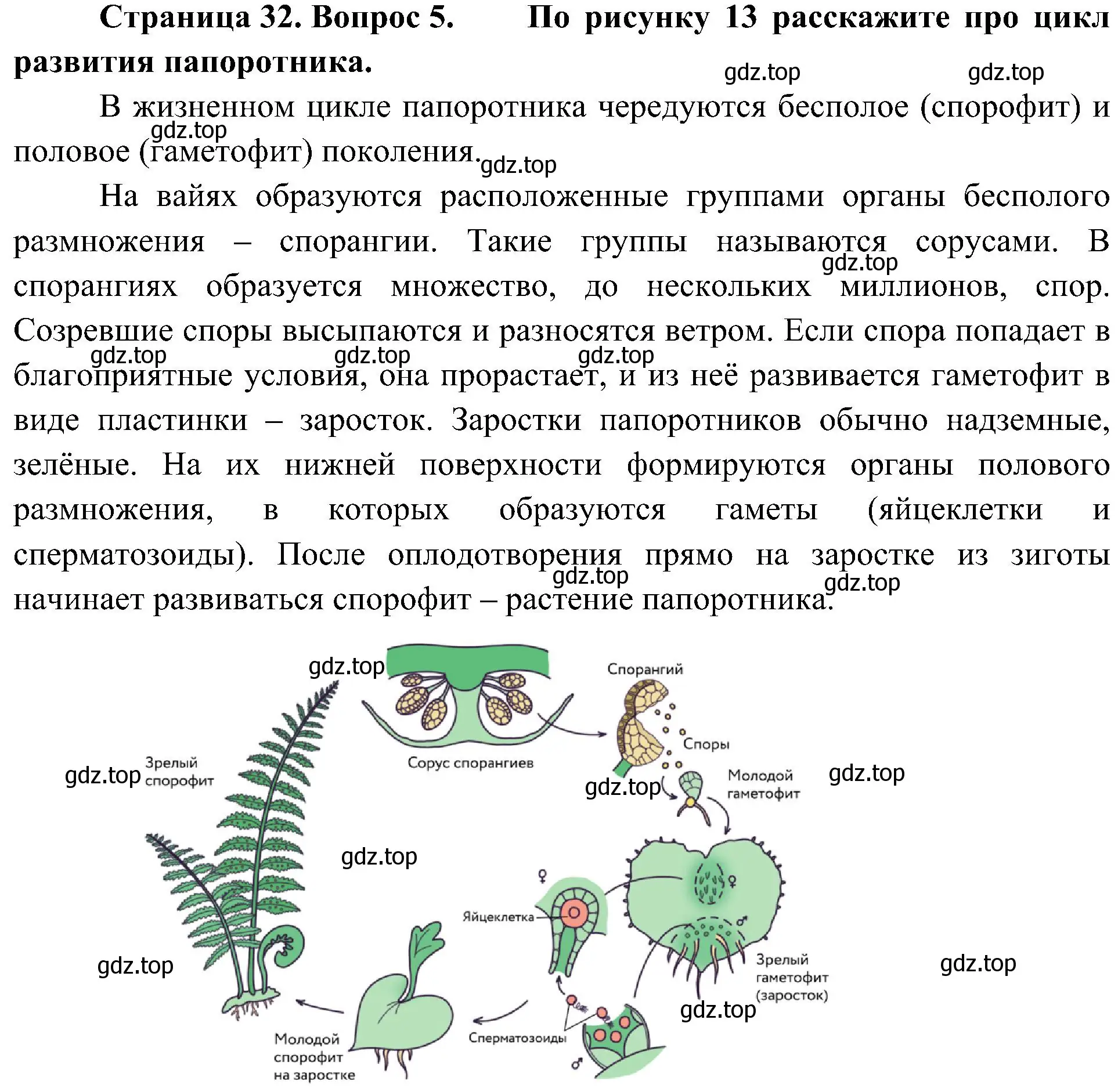 Решение номер 5 (страница 32) гдз по биологии 7 класс Пономарева, Корнилова, учебник