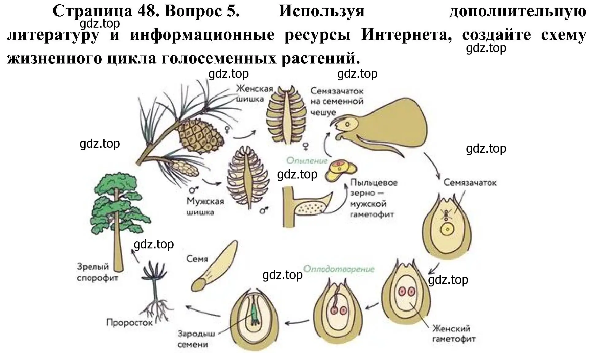 Решение номер 5 (страница 48) гдз по биологии 7 класс Пономарева, Корнилова, учебник