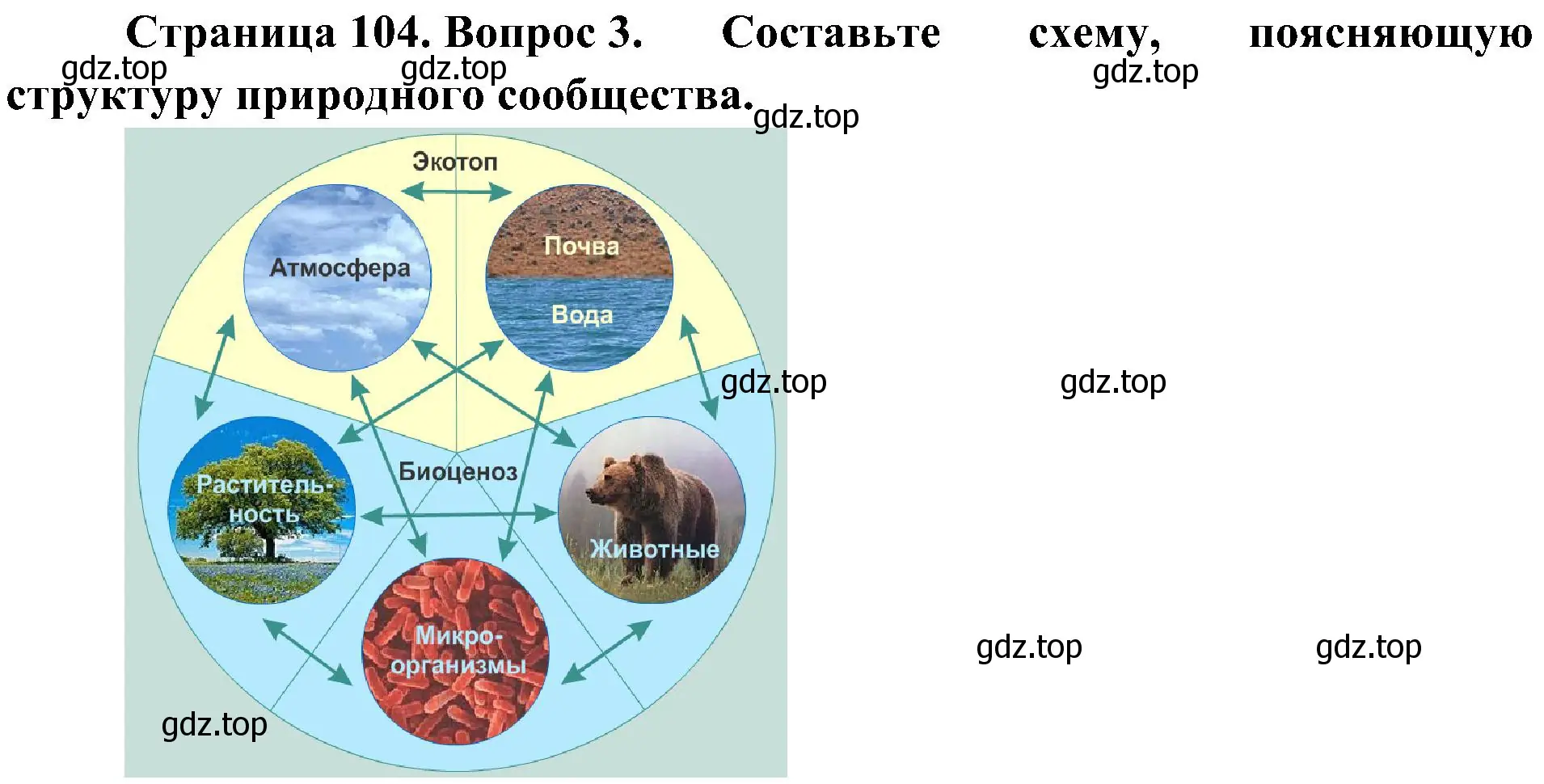 Решение номер 3 (страница 104) гдз по биологии 7 класс Пономарева, Корнилова, учебник