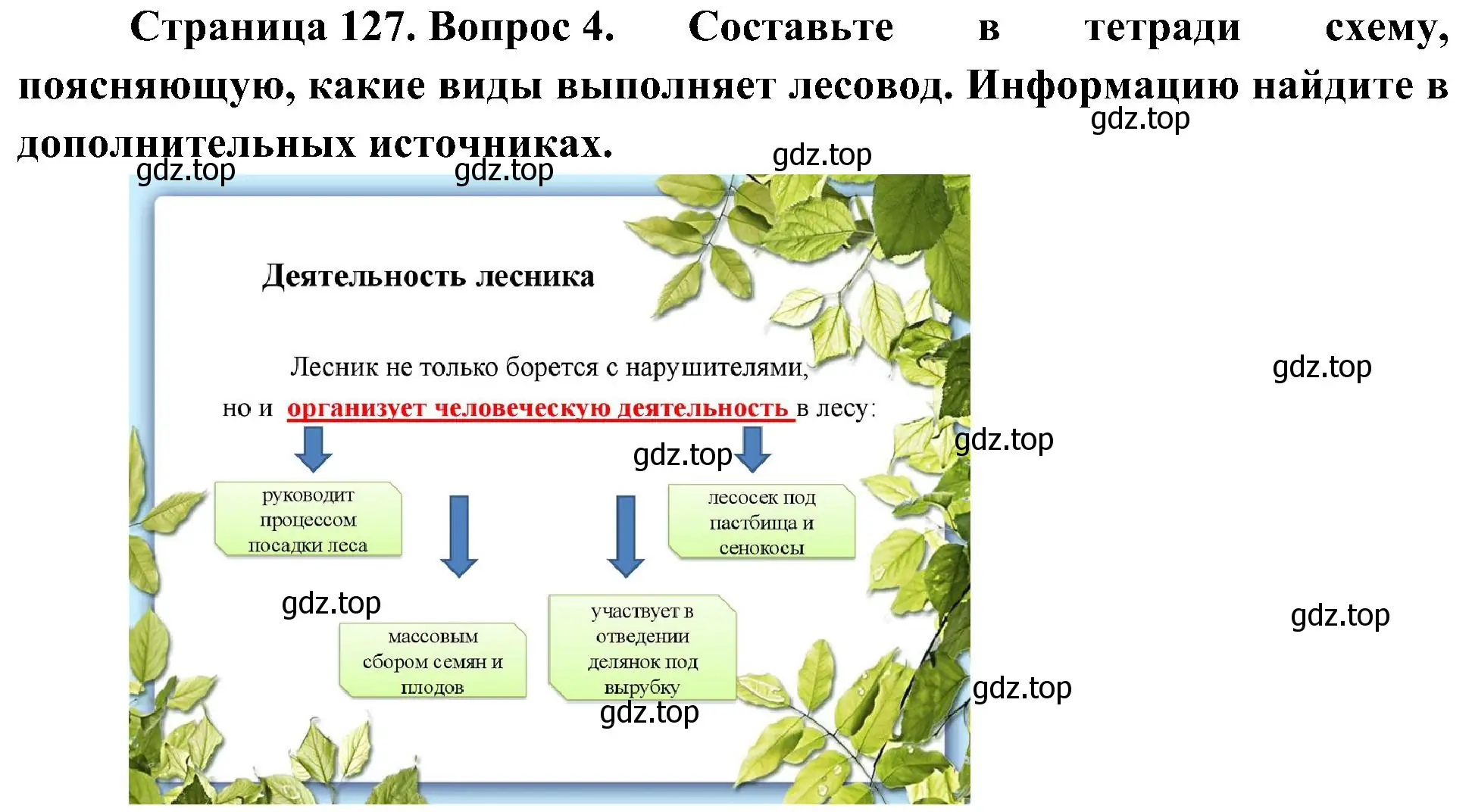 Решение номер 4 (страница 127) гдз по биологии 7 класс Пономарева, Корнилова, учебник