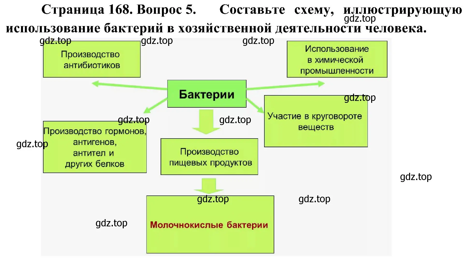 Решение номер 5 (страница 168) гдз по биологии 7 класс Пономарева, Корнилова, учебник