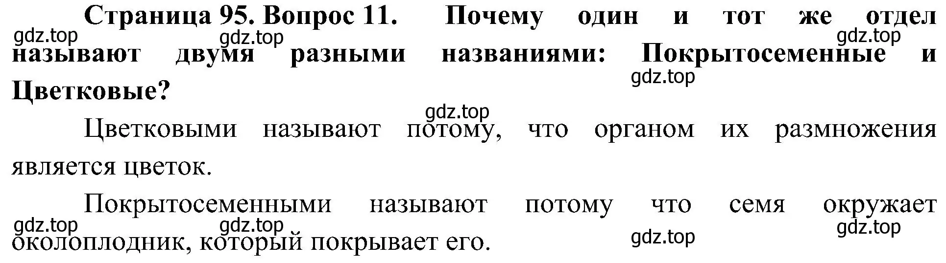 Решение номер 11 (страница 95) гдз по биологии 7 класс Пономарева, Корнилова, учебник