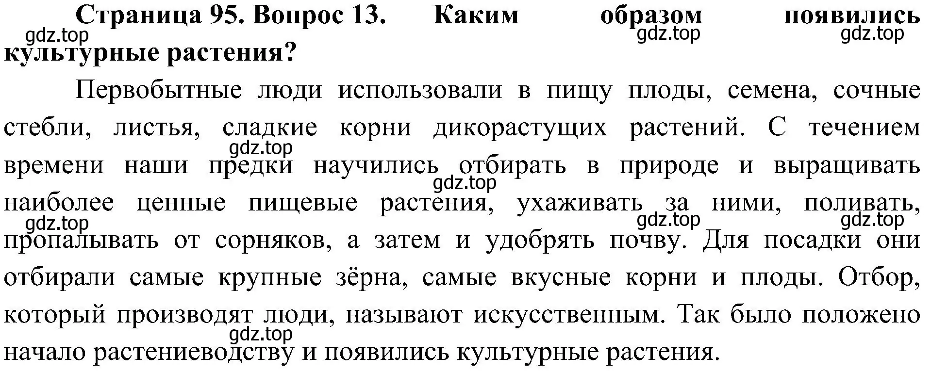 Решение номер 13 (страница 95) гдз по биологии 7 класс Пономарева, Корнилова, учебник