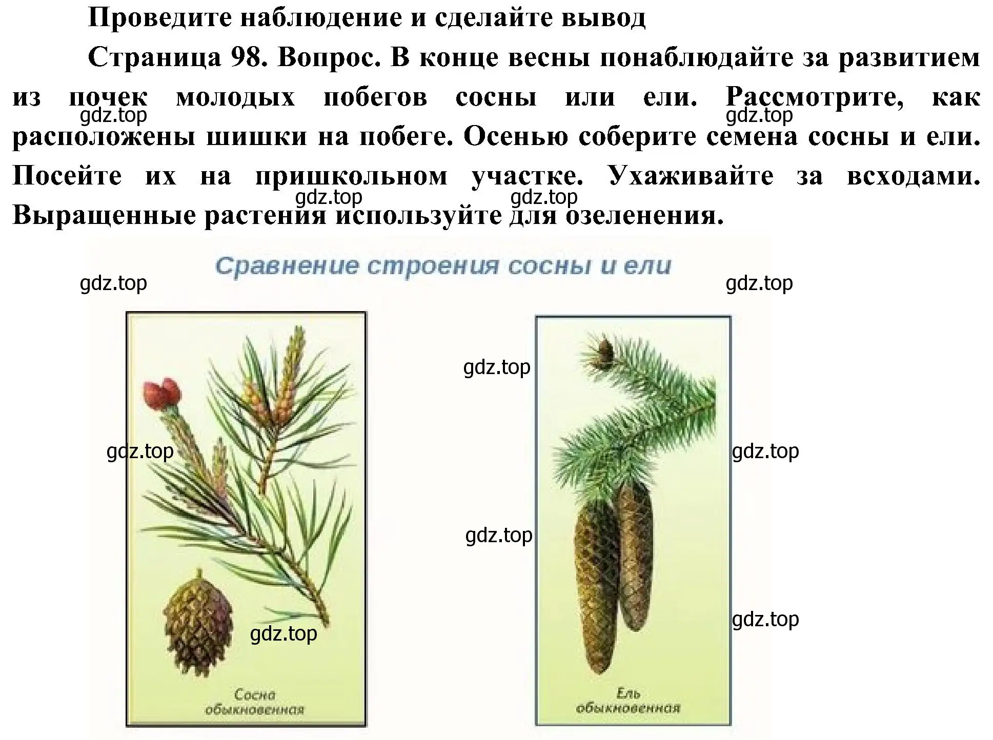 Решение номер 1 (страница 98) гдз по биологии 7 класс Пономарева, Корнилова, учебник