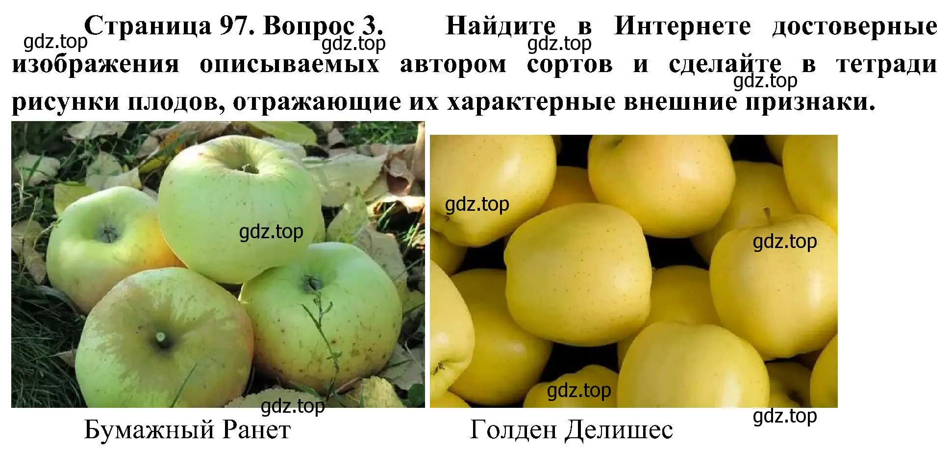 Решение номер 3 (страница 97) гдз по биологии 7 класс Пономарева, Корнилова, учебник