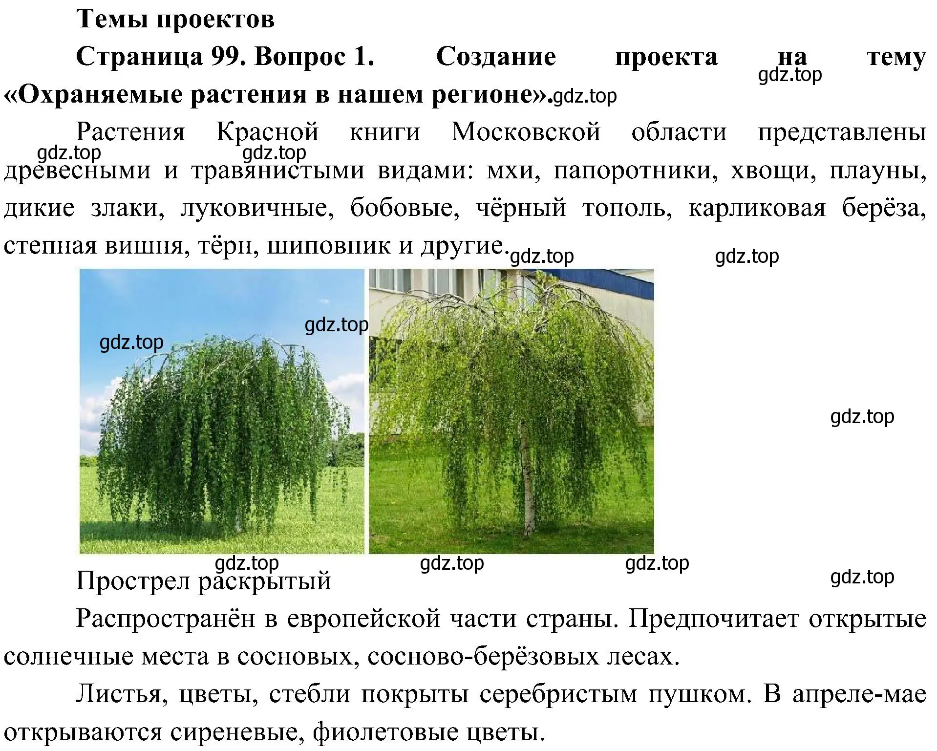 Решение номер 1 (страница 99) гдз по биологии 7 класс Пономарева, Корнилова, учебник