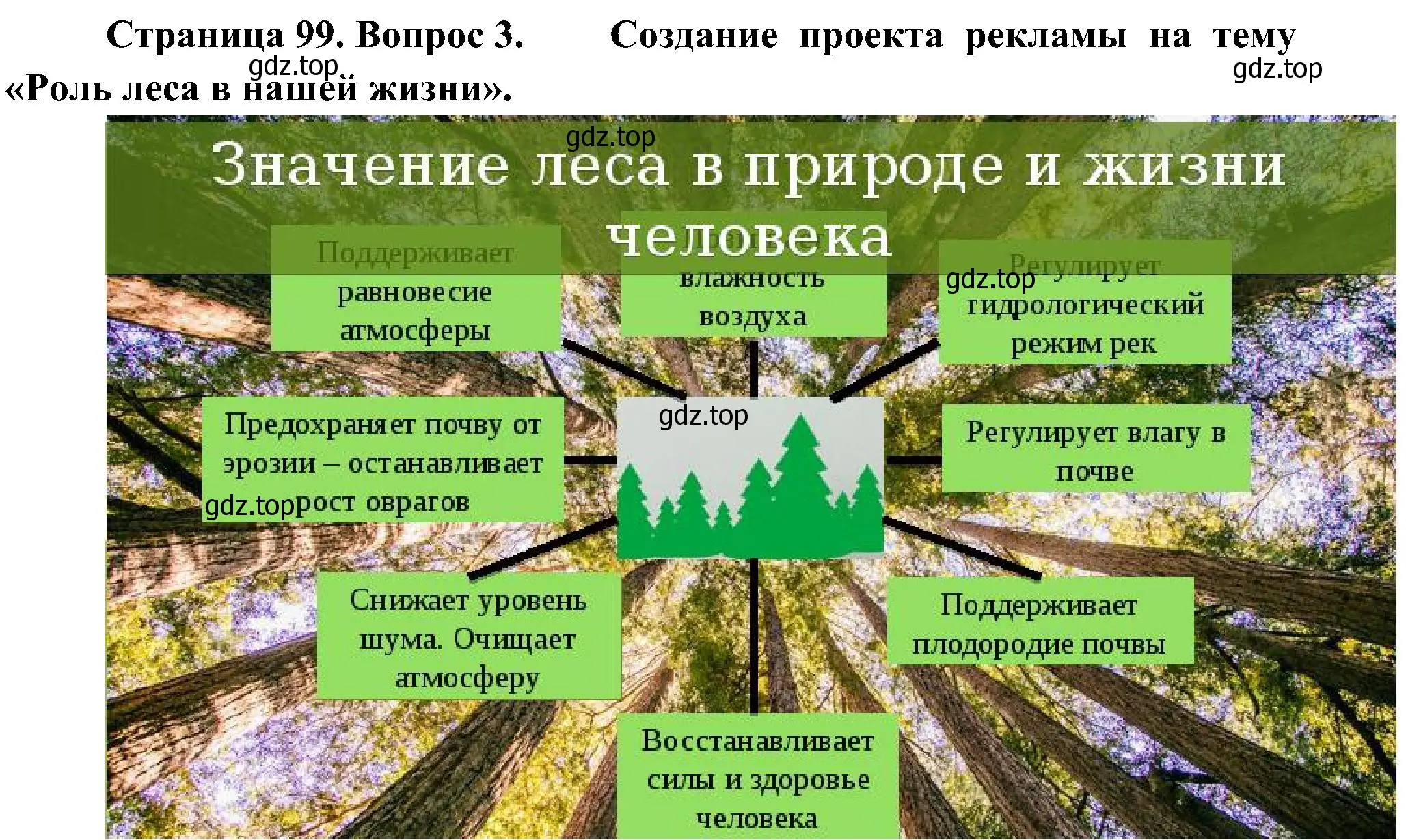 Решение номер 3 (страница 99) гдз по биологии 7 класс Пономарева, Корнилова, учебник