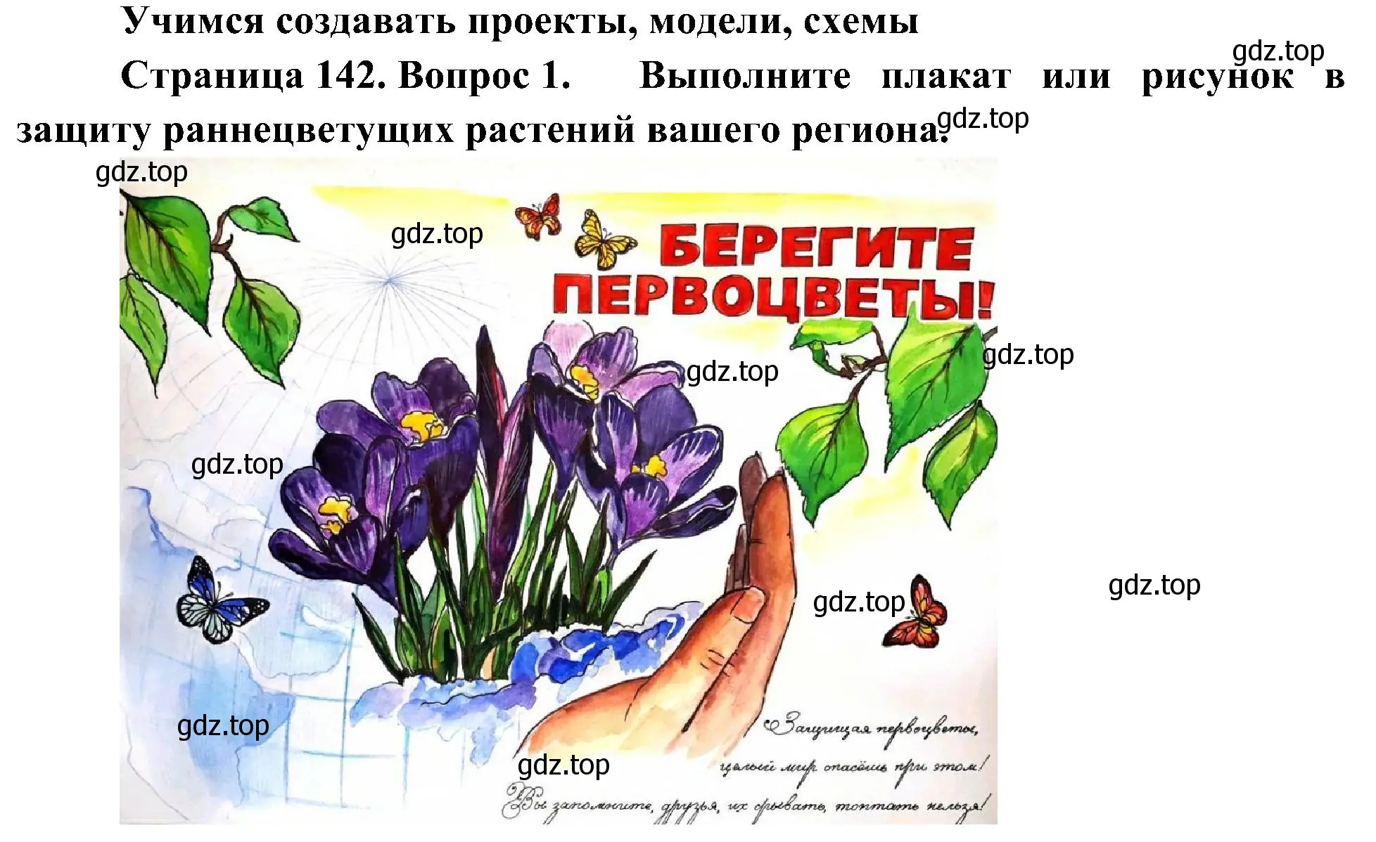 Решение номер 1 (страница 142) гдз по биологии 7 класс Пономарева, Корнилова, учебник
