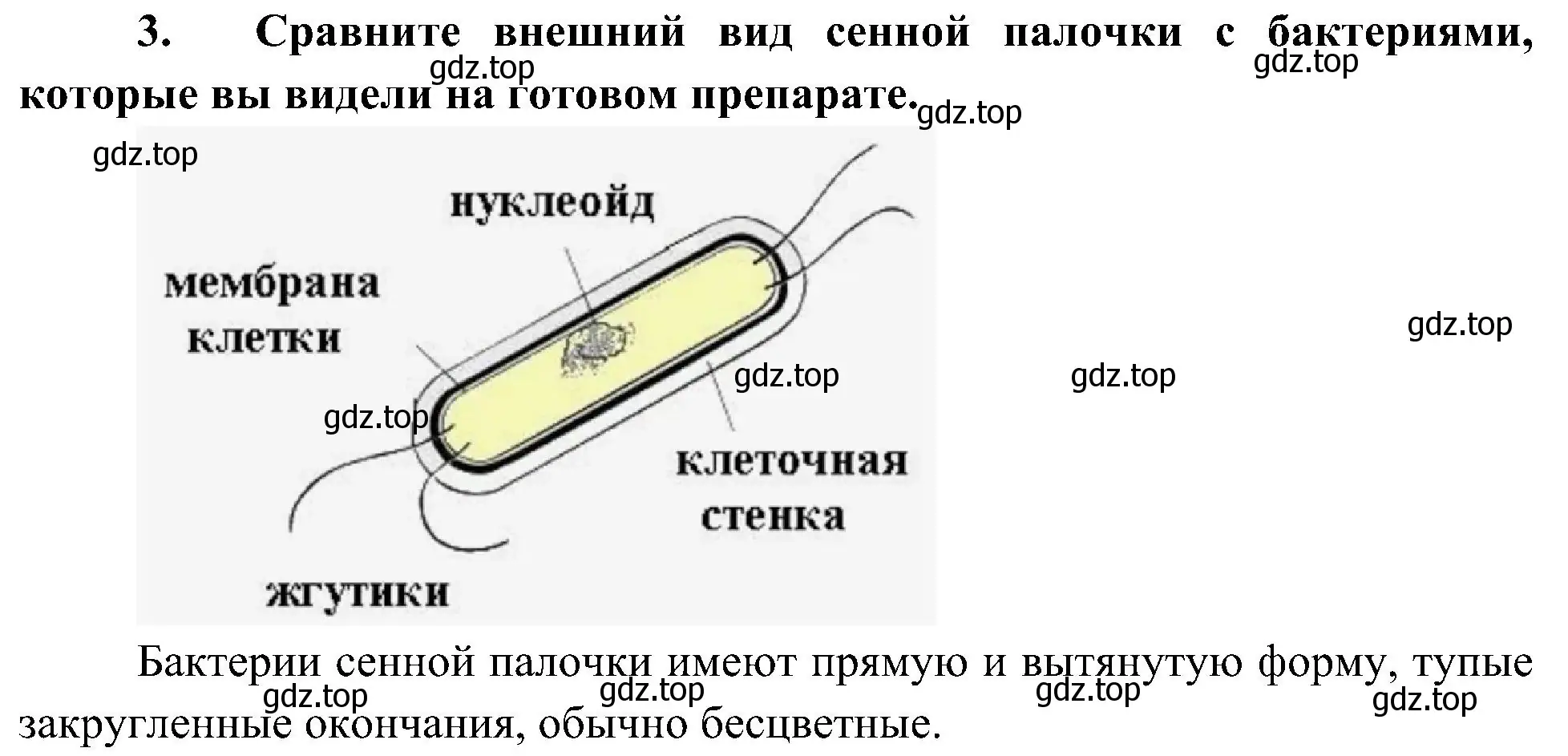 Решение номер 3 (страница 163) гдз по биологии 7 класс Пономарева, Корнилова, учебник