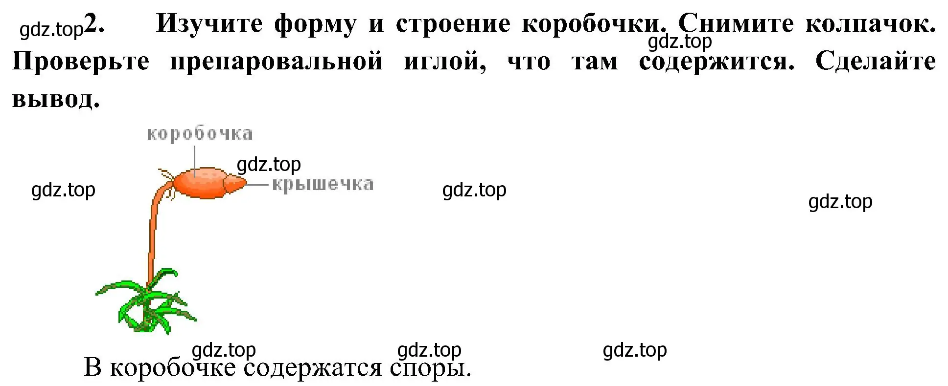 Решение номер 2 (страница 27) гдз по биологии 7 класс Пономарева, Корнилова, учебник